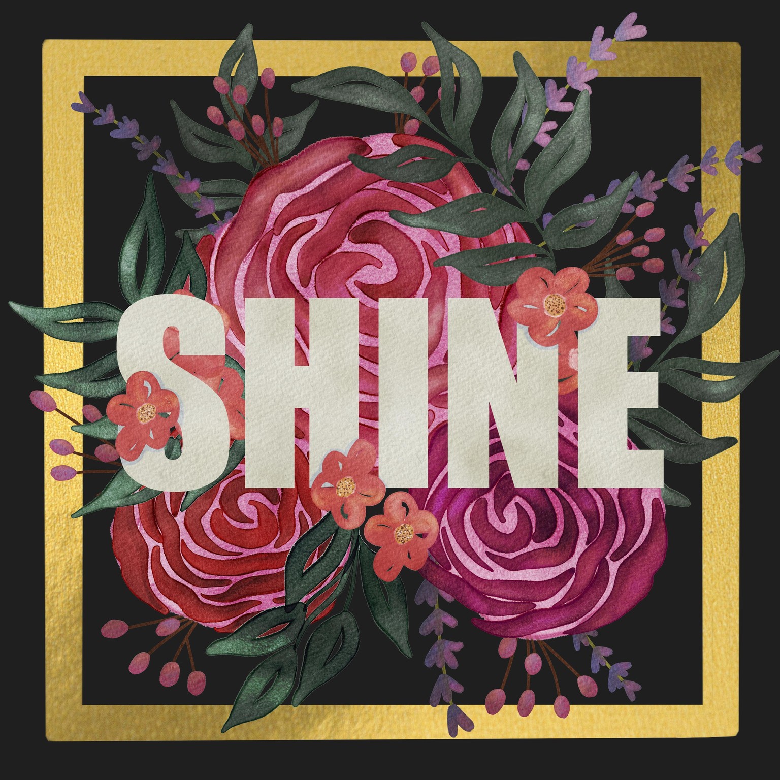 Shine - image 2 - student project