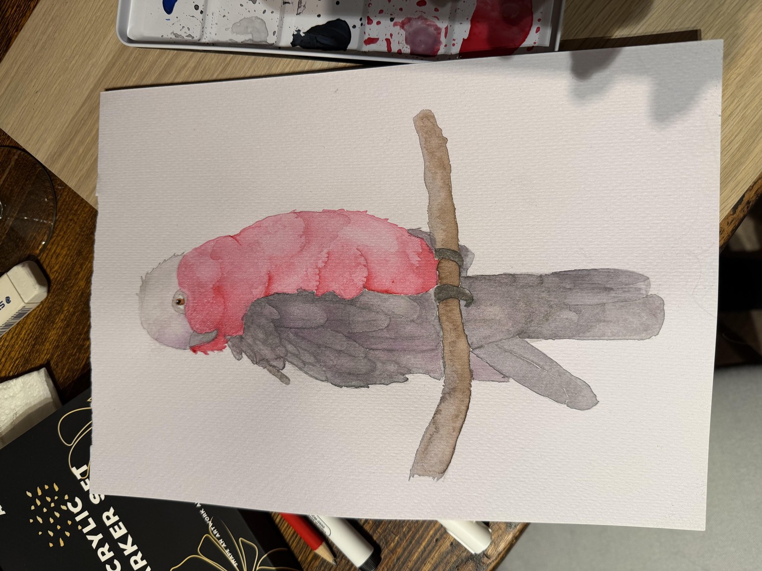 Galah - image 1 - student project