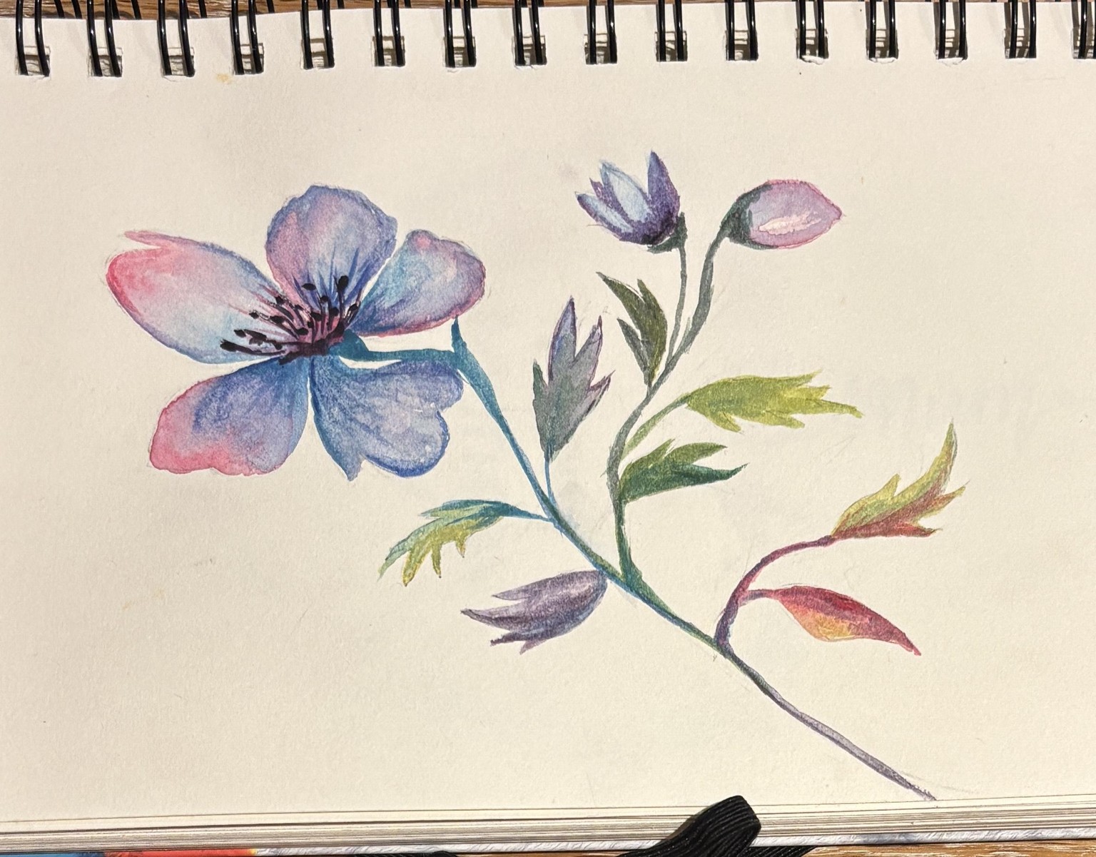 My first watercolour - image 2 - student project