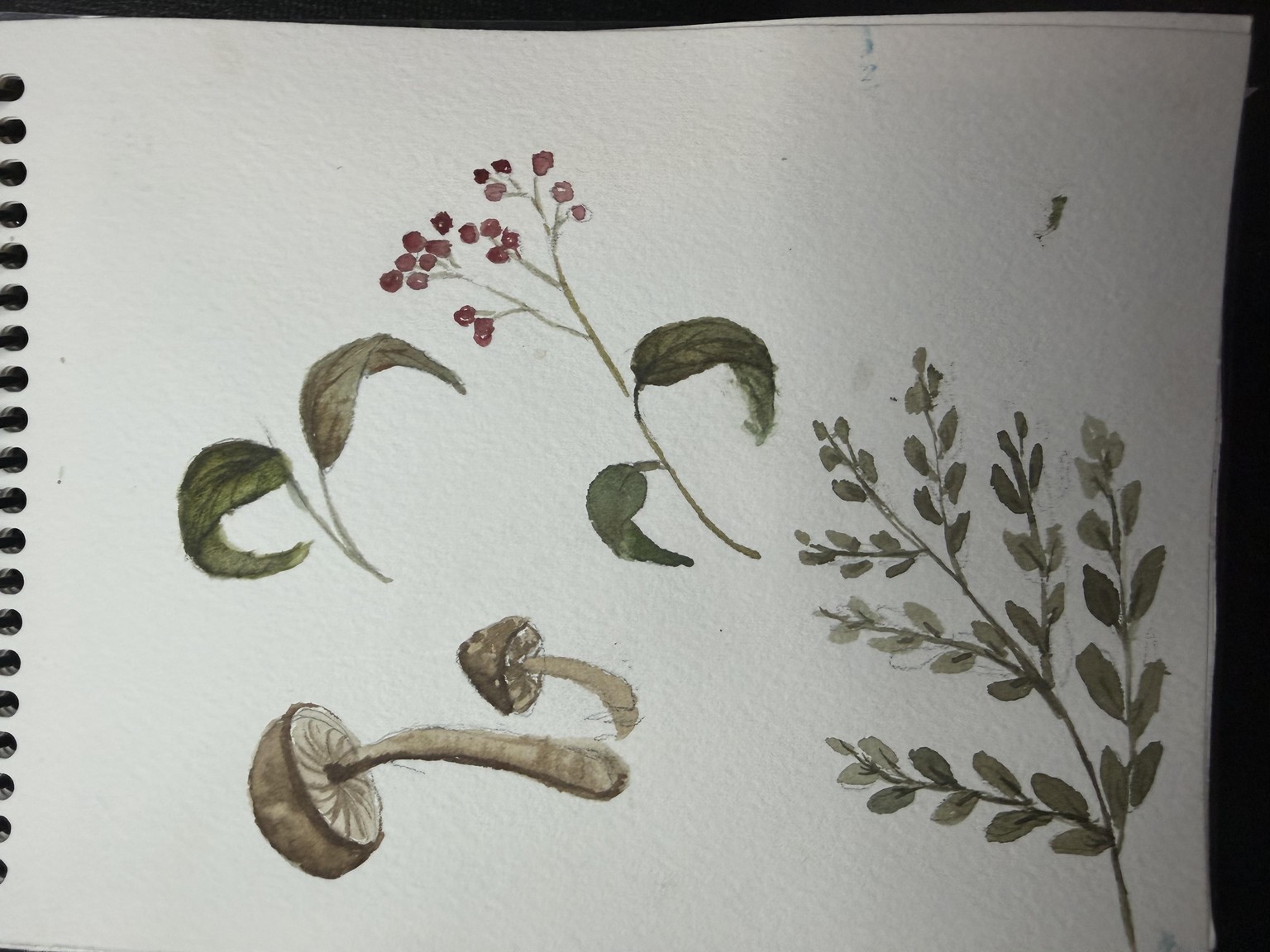 Autumn Elements - image 1 - student project