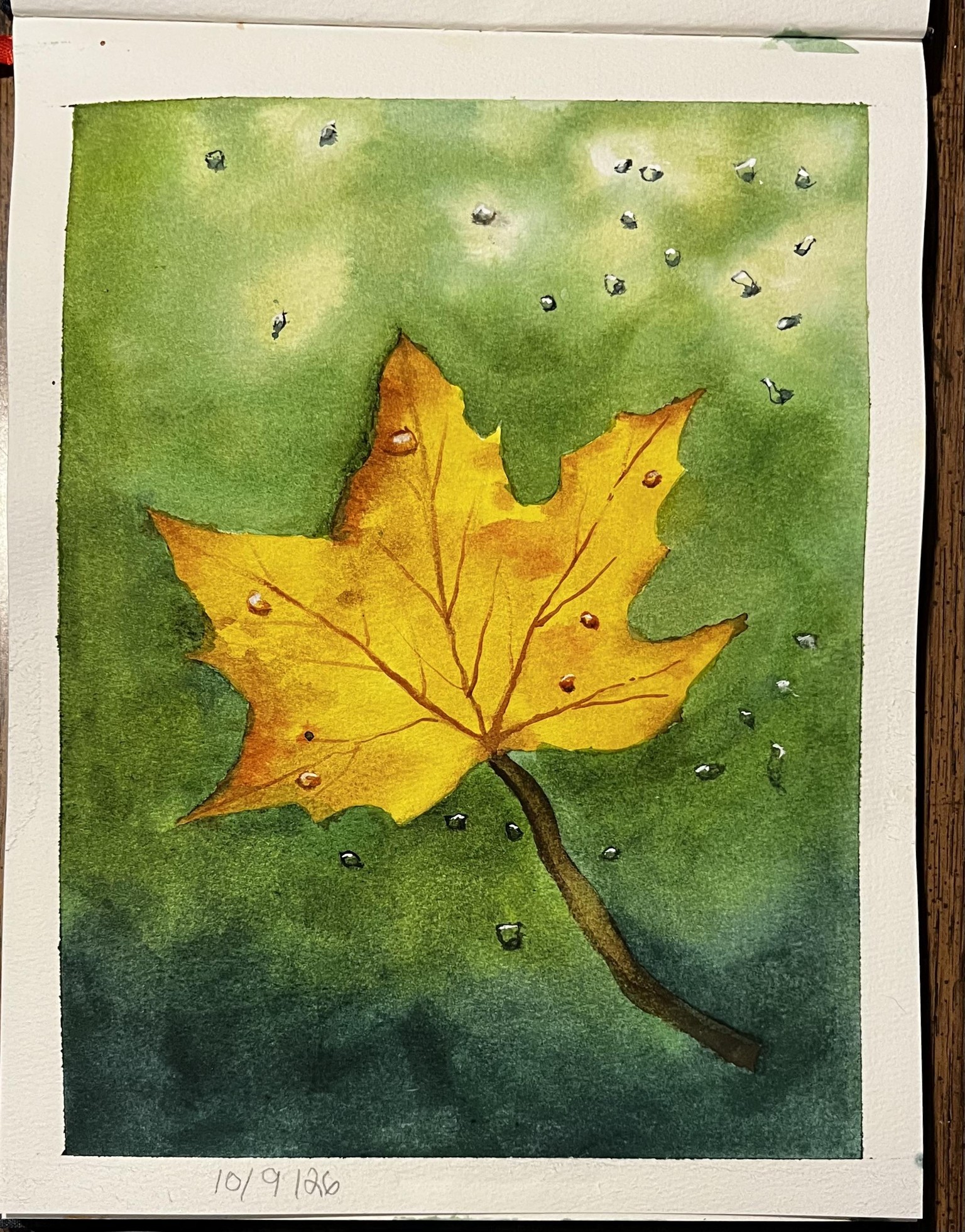 Autumn Paintings - image 15 - student project