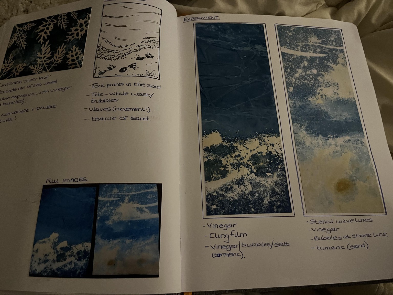 Cyanotype Research and play - image 1 - student project