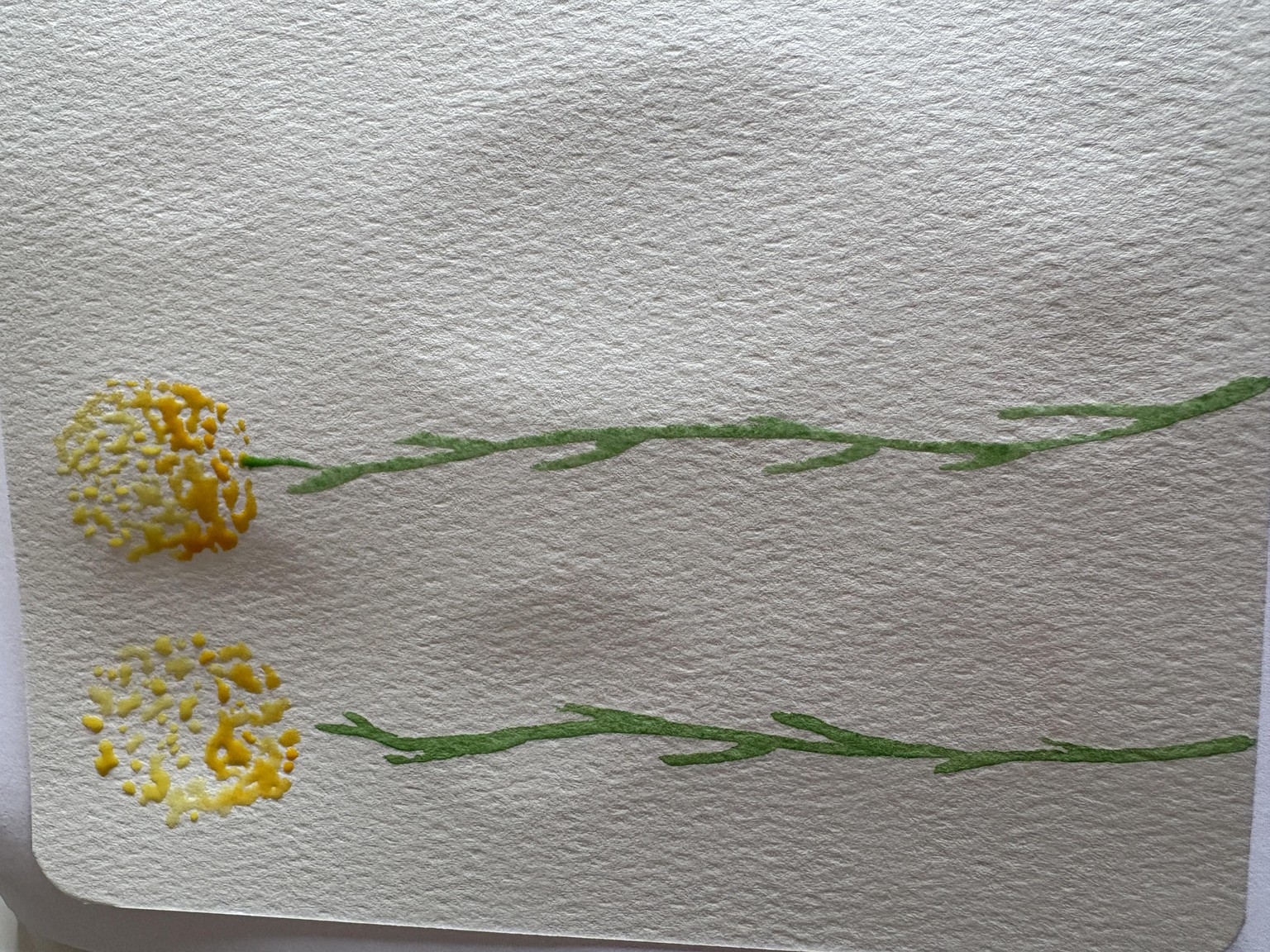 Flores - image 2 - student project