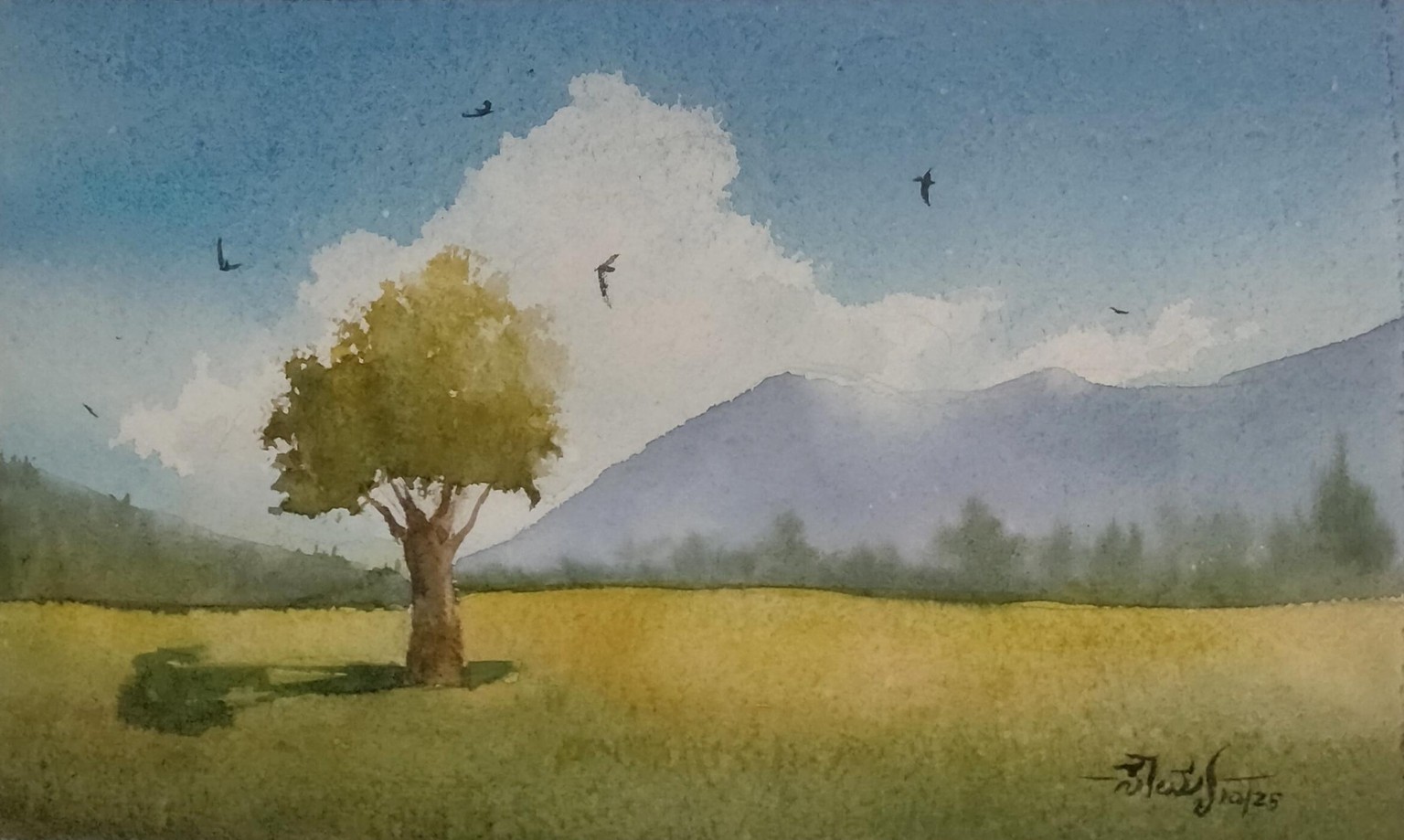 landscape before and after - image 2 - student project