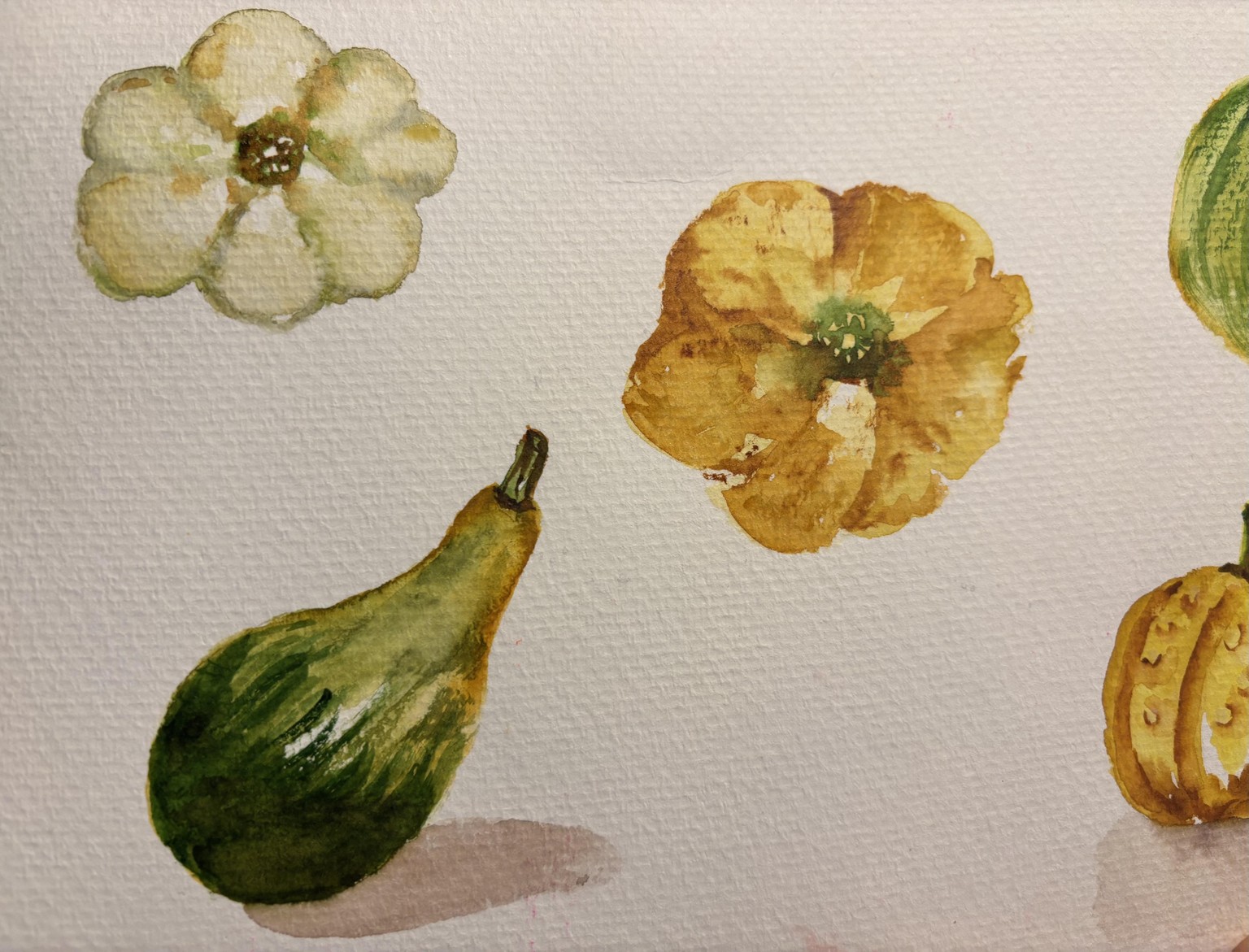 Watercolor pumpkins with Olga - image 2 - student project