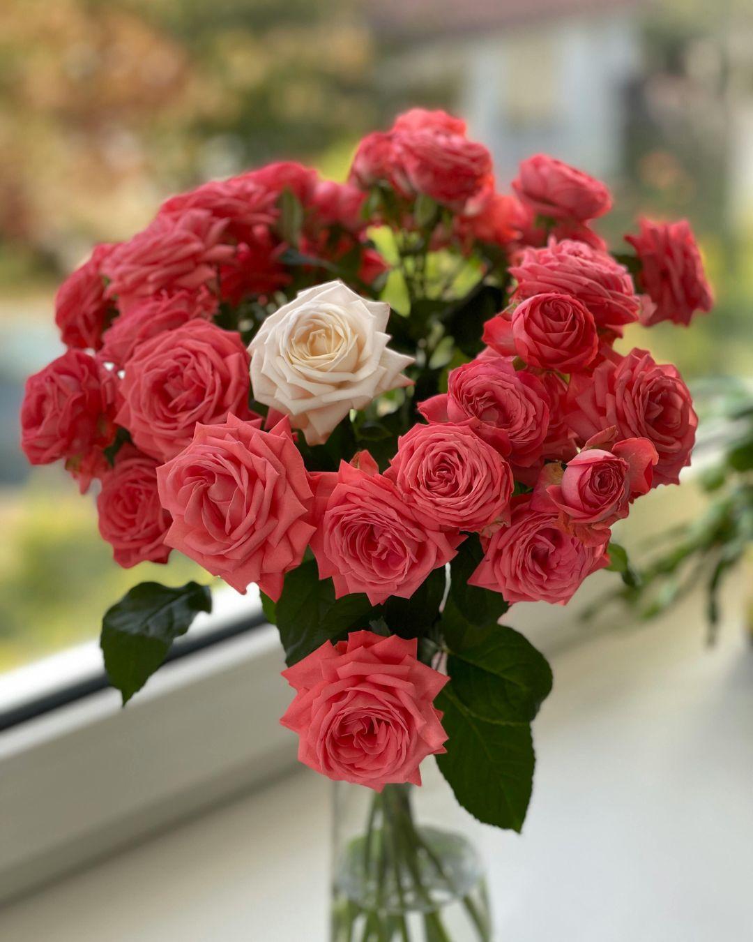 Color Changing Rose - image 1 - student project