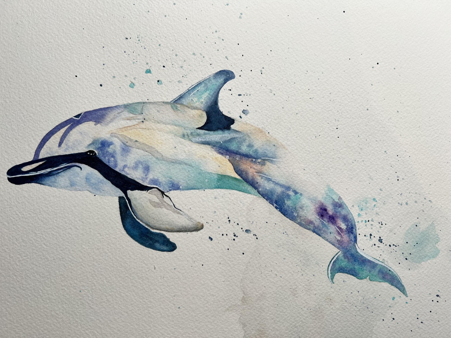 Colorful dolphin - image 1 - student project