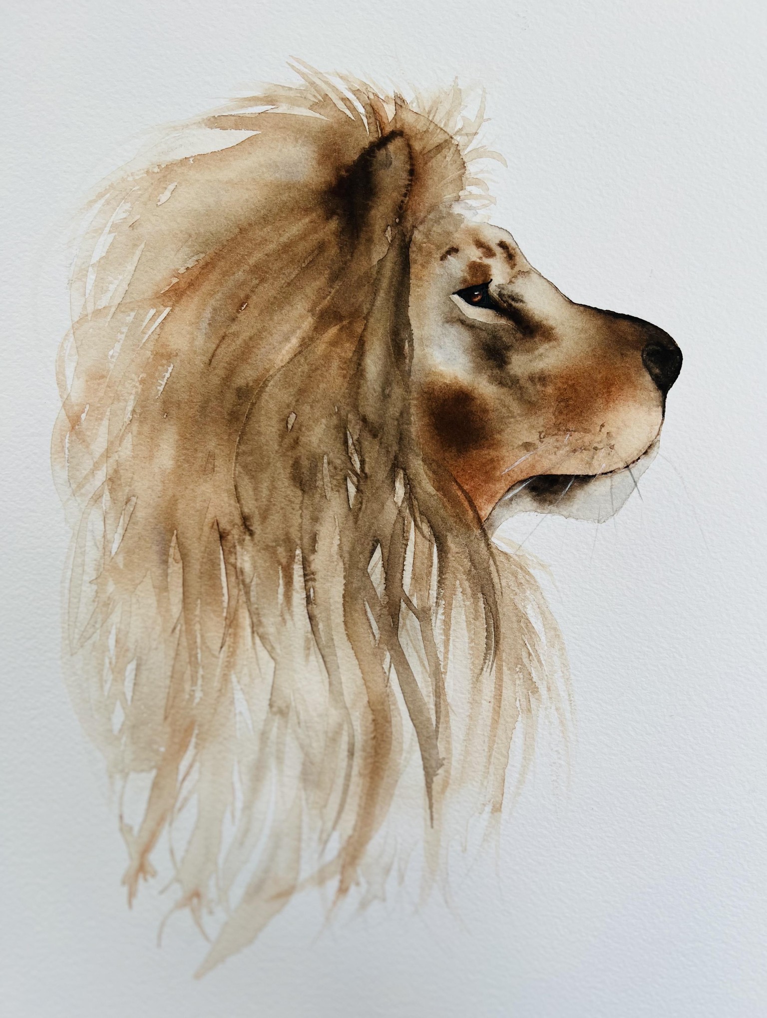 Free-flow Lion - image 1 - student project