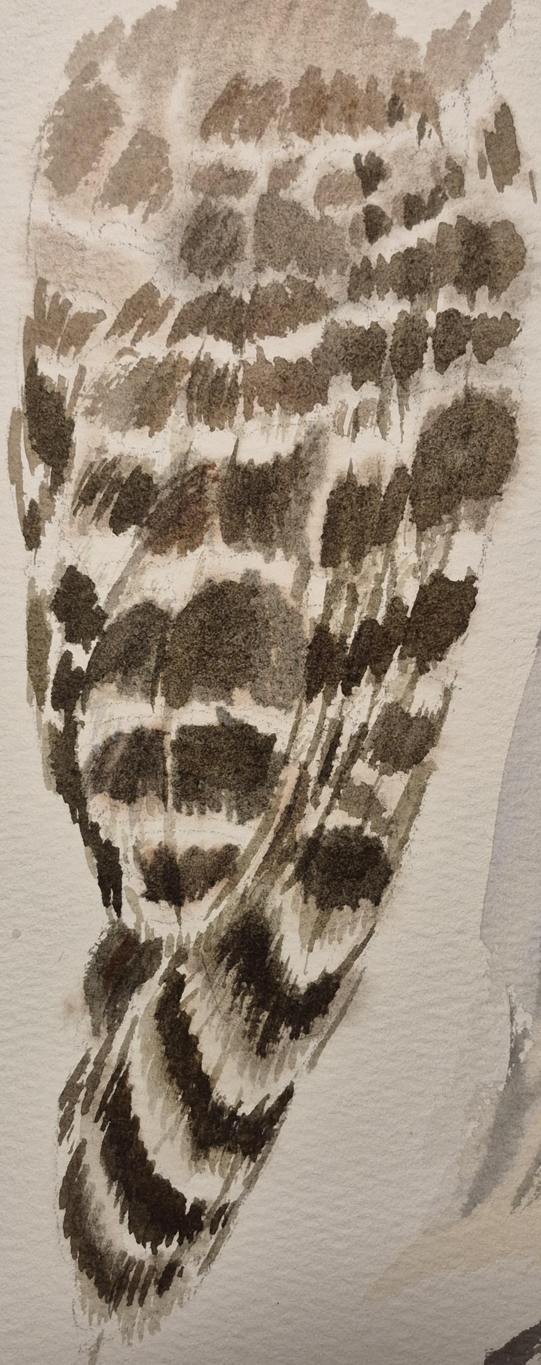 7 Days of Owls Sketchbook Challenge: Ink, Watercolor & Procreate Techniques to Level Up Your Art - image 6 - student project