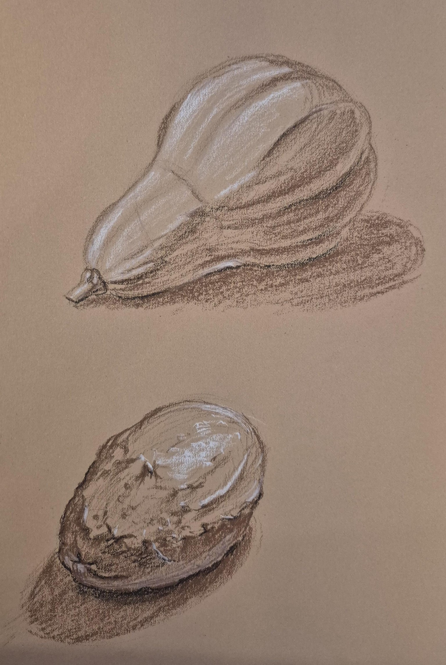 Shading: Part 4 of The Drawing Laboratory - image 5 - student project
