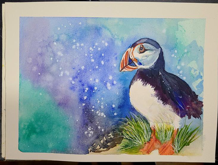 Puffins with Jane - image 1 - student project