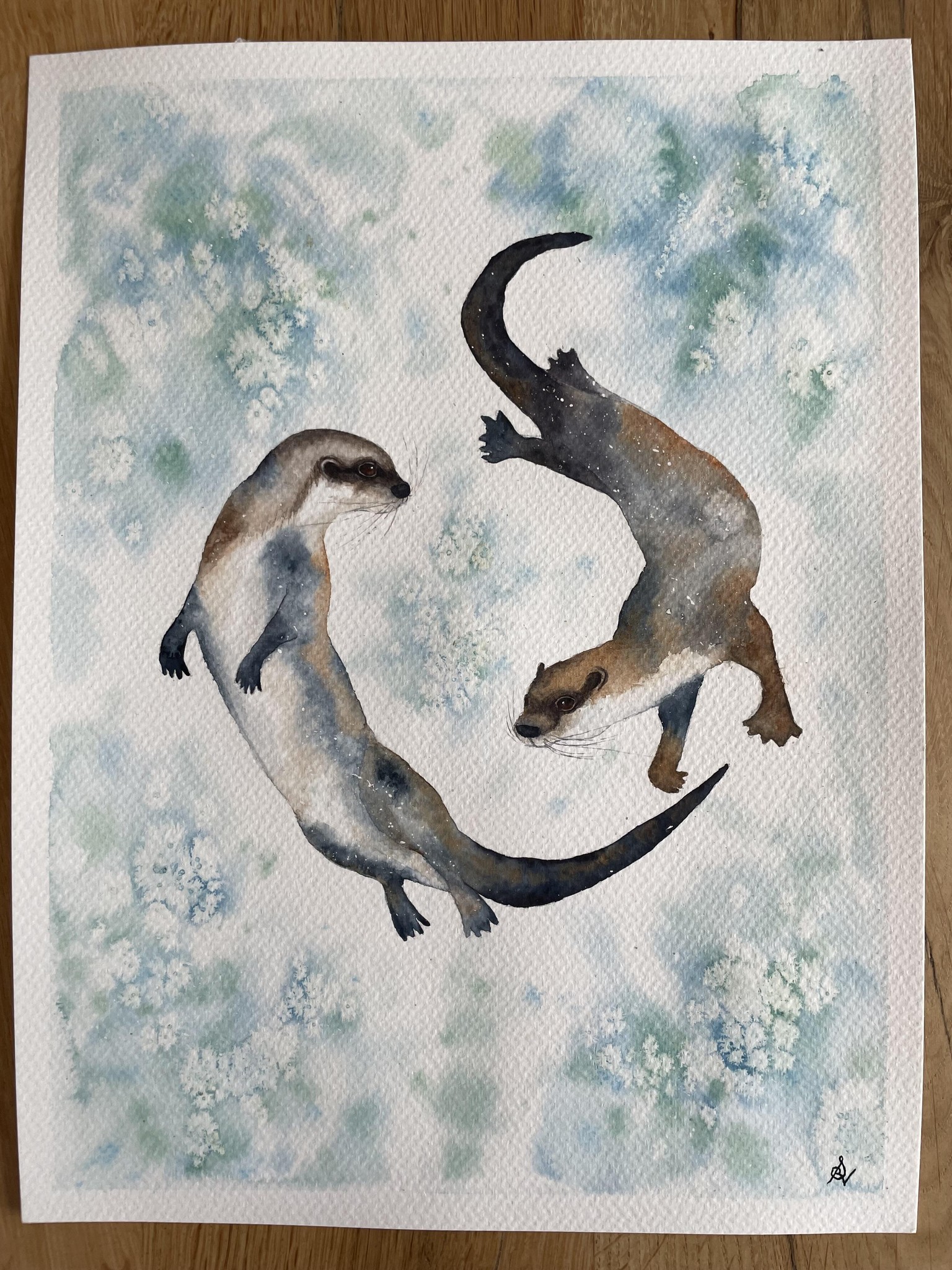 Otters in watercolour - image 1 - student project