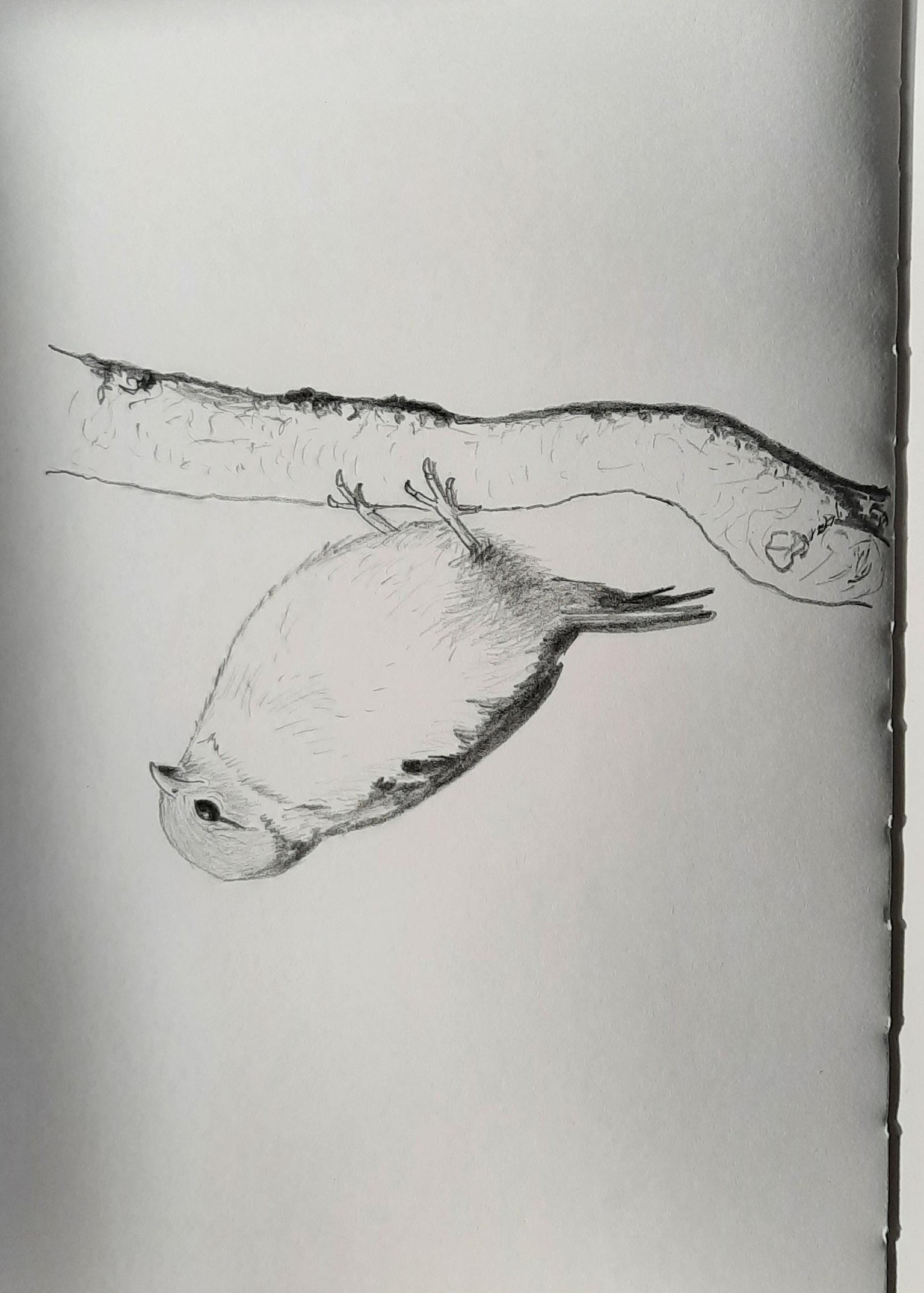 My Sketches - image 4 - student project