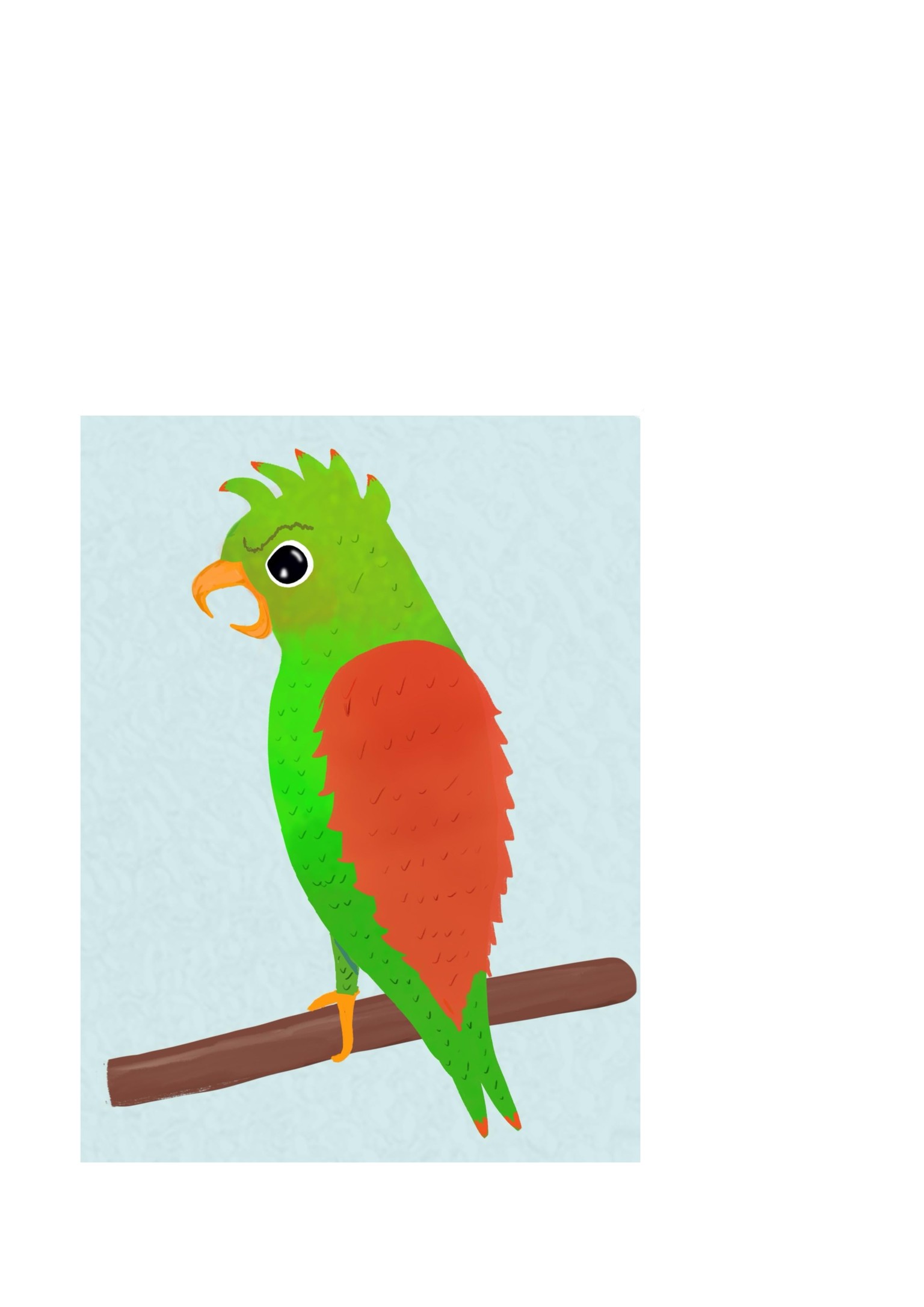 Wonder what ruffled his feathers……. . ? - image 1 - student project