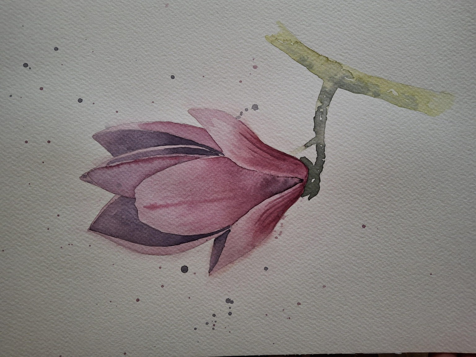 Improving magnolias - image 1 - student project
