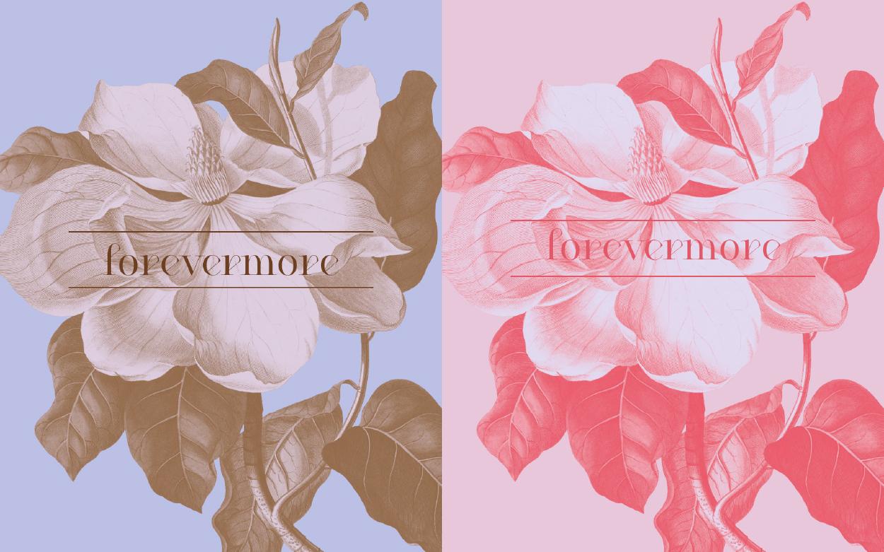 Botanical Greeting Cards - image 5 - student project