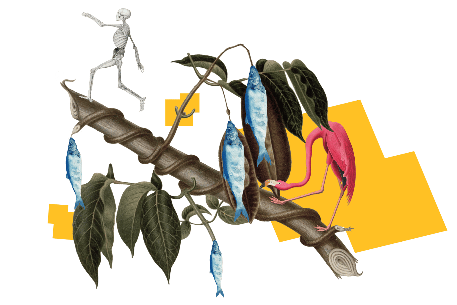 Mixing science with nature - image 3 - student project