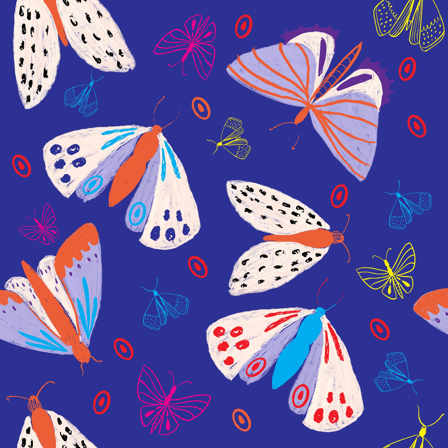 Class 1 Moths - image 1 - student project