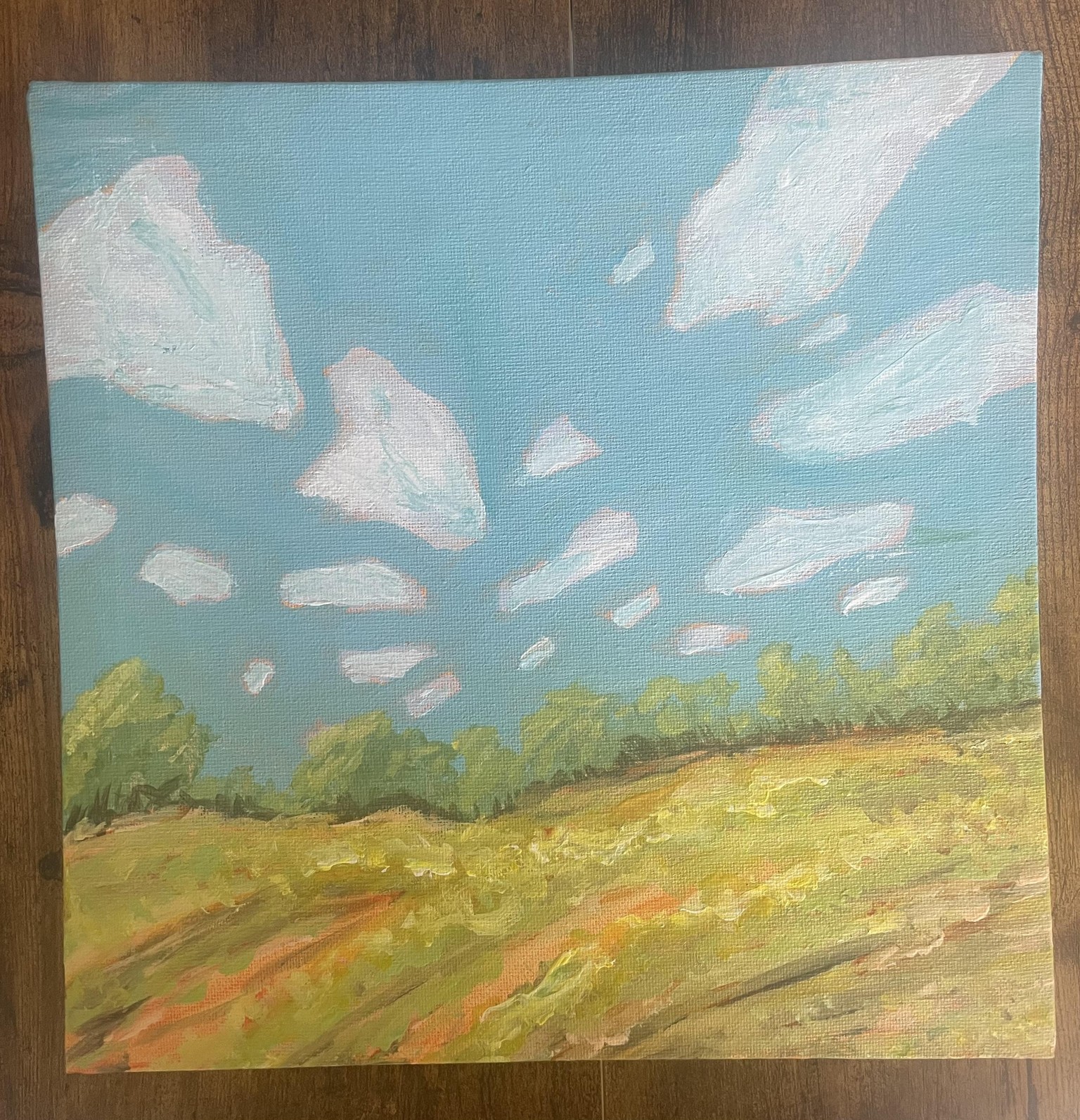 Easy Acrylic landscape painting - image 2 - student project