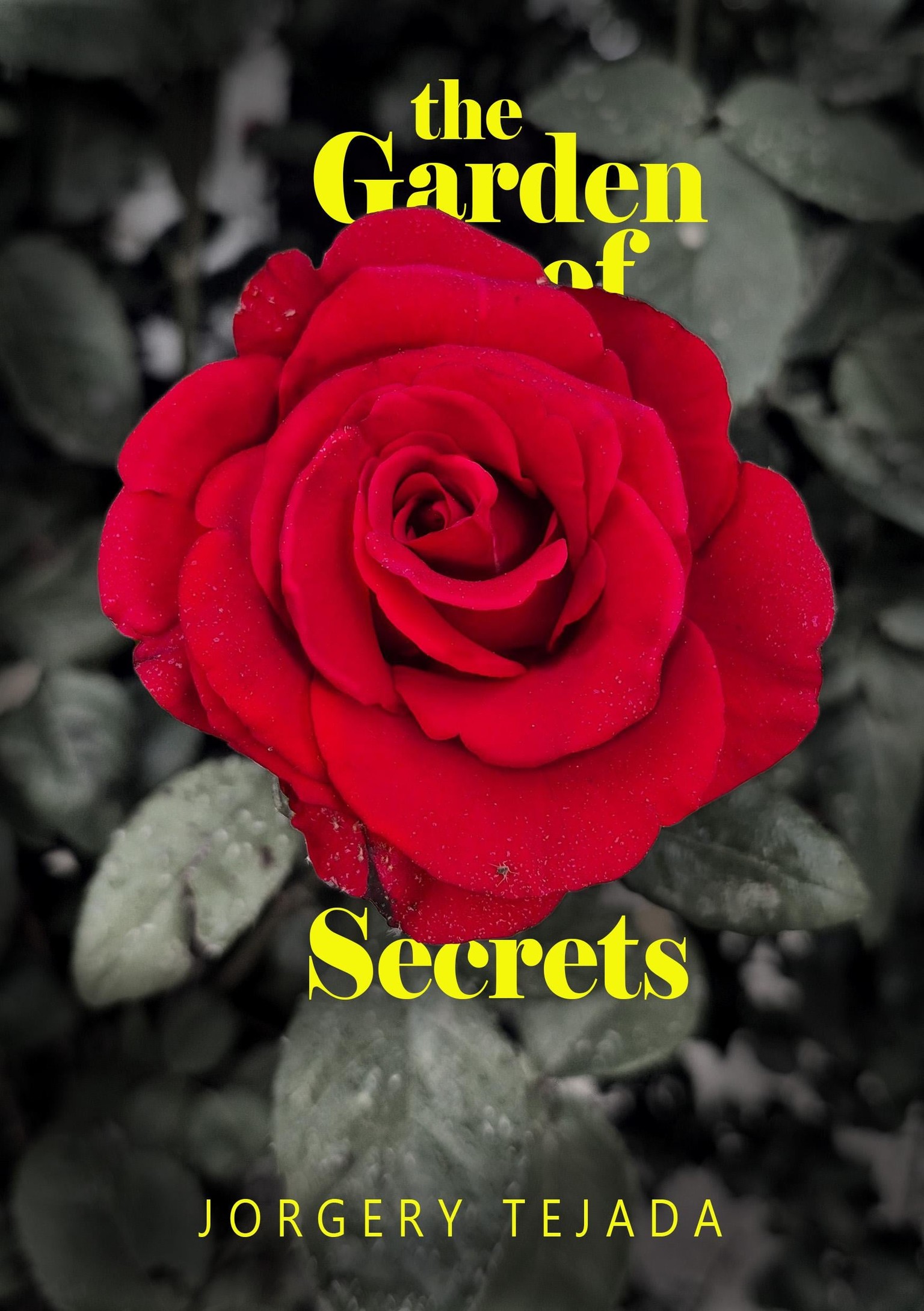 practica book cover - image 2 - student project