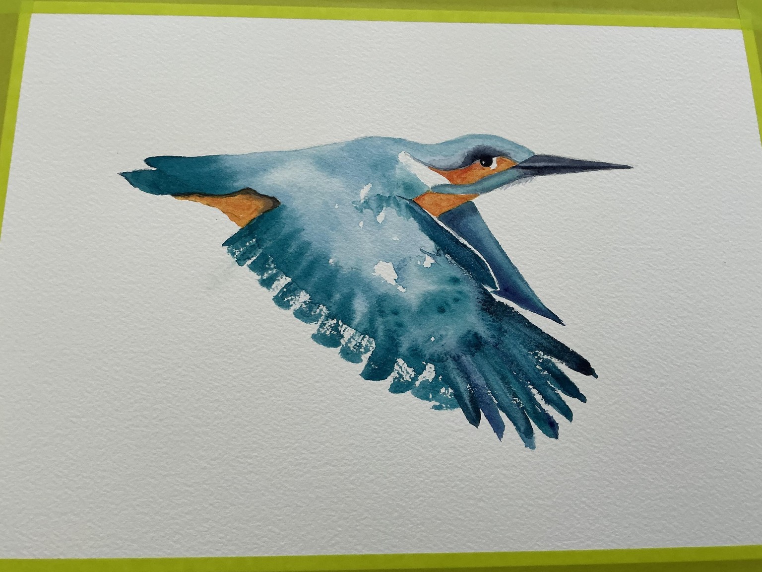 Kingfisher - image 1 - student project