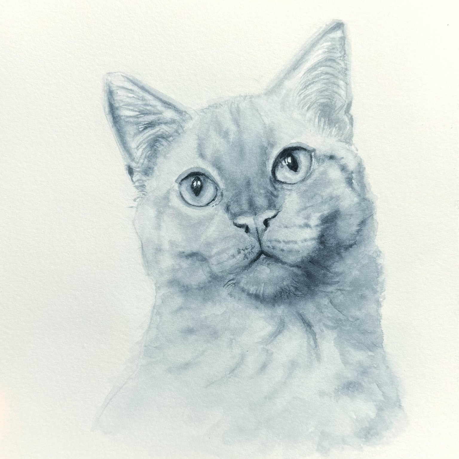 Kittens🐾 - image 2 - student project