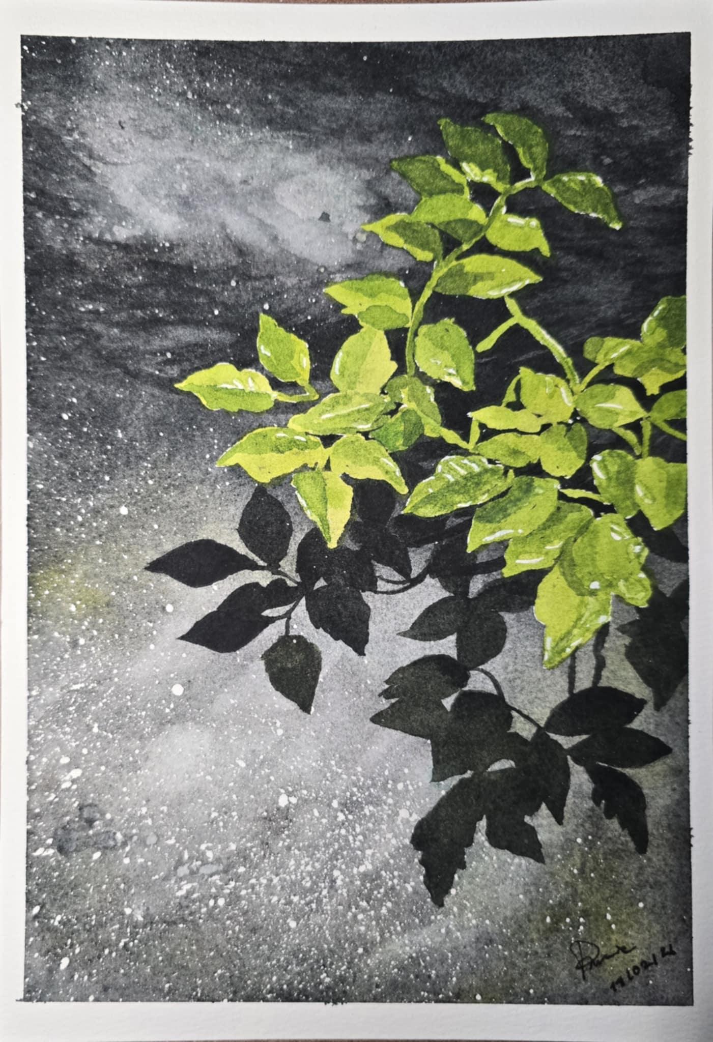 Light and Texture with Granulating Watercolors - image 2 - student project