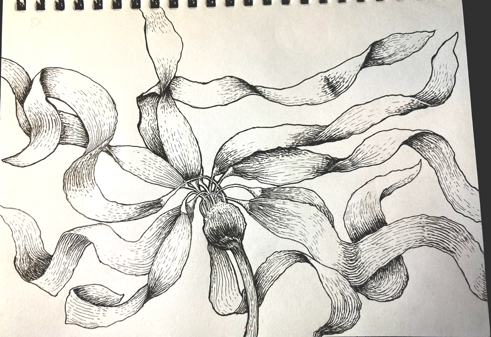 Intricate Pen & Ink - image 1 - student project