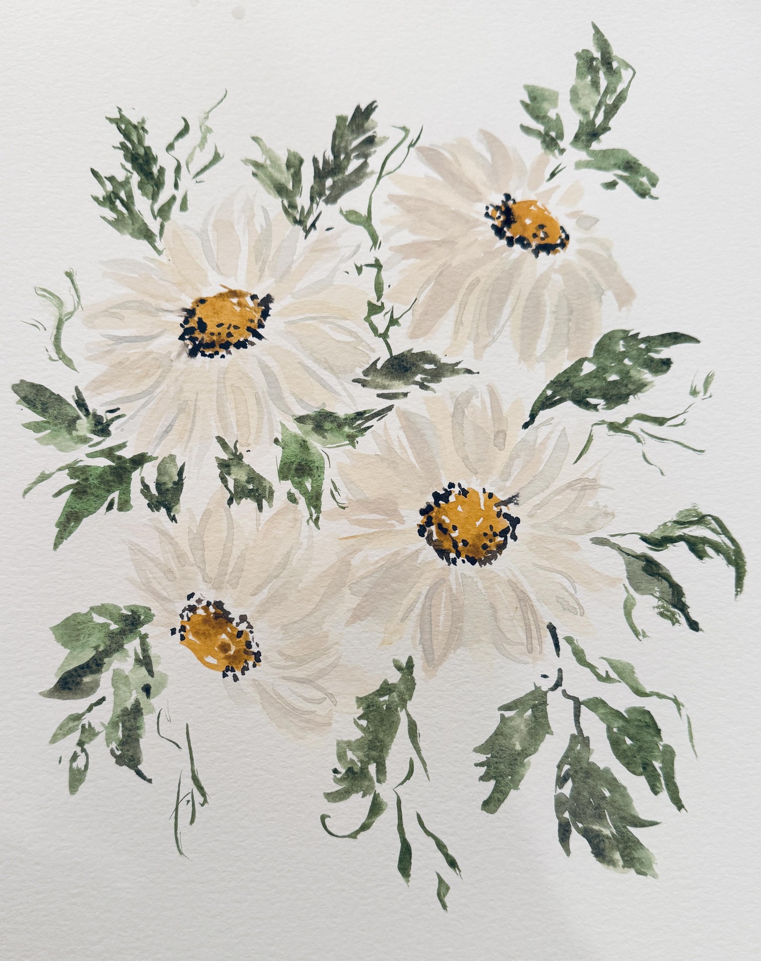 Daisies - image 1 - student project
