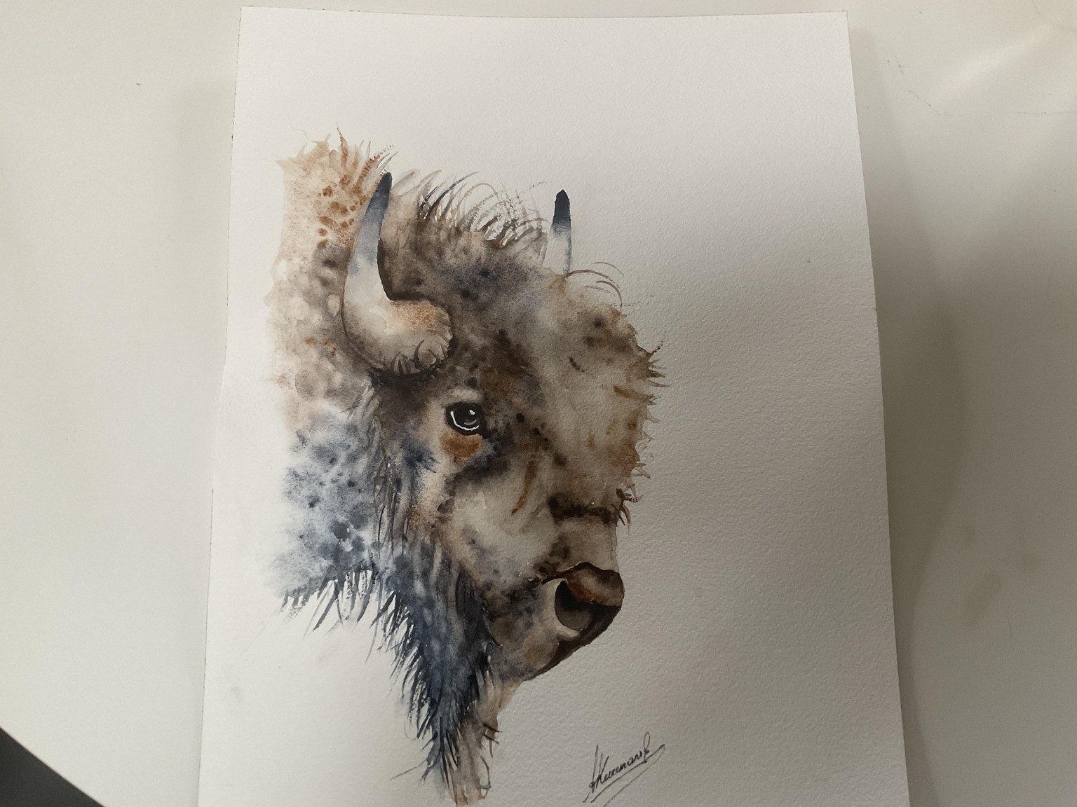 Bison with Jane - image 1 - student project