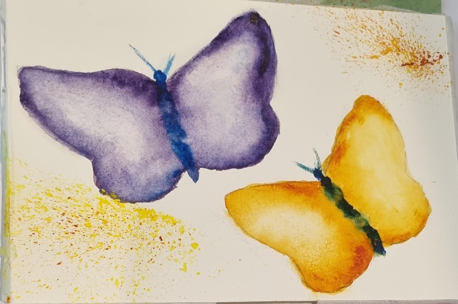 Basic butterflies - image 1 - student project