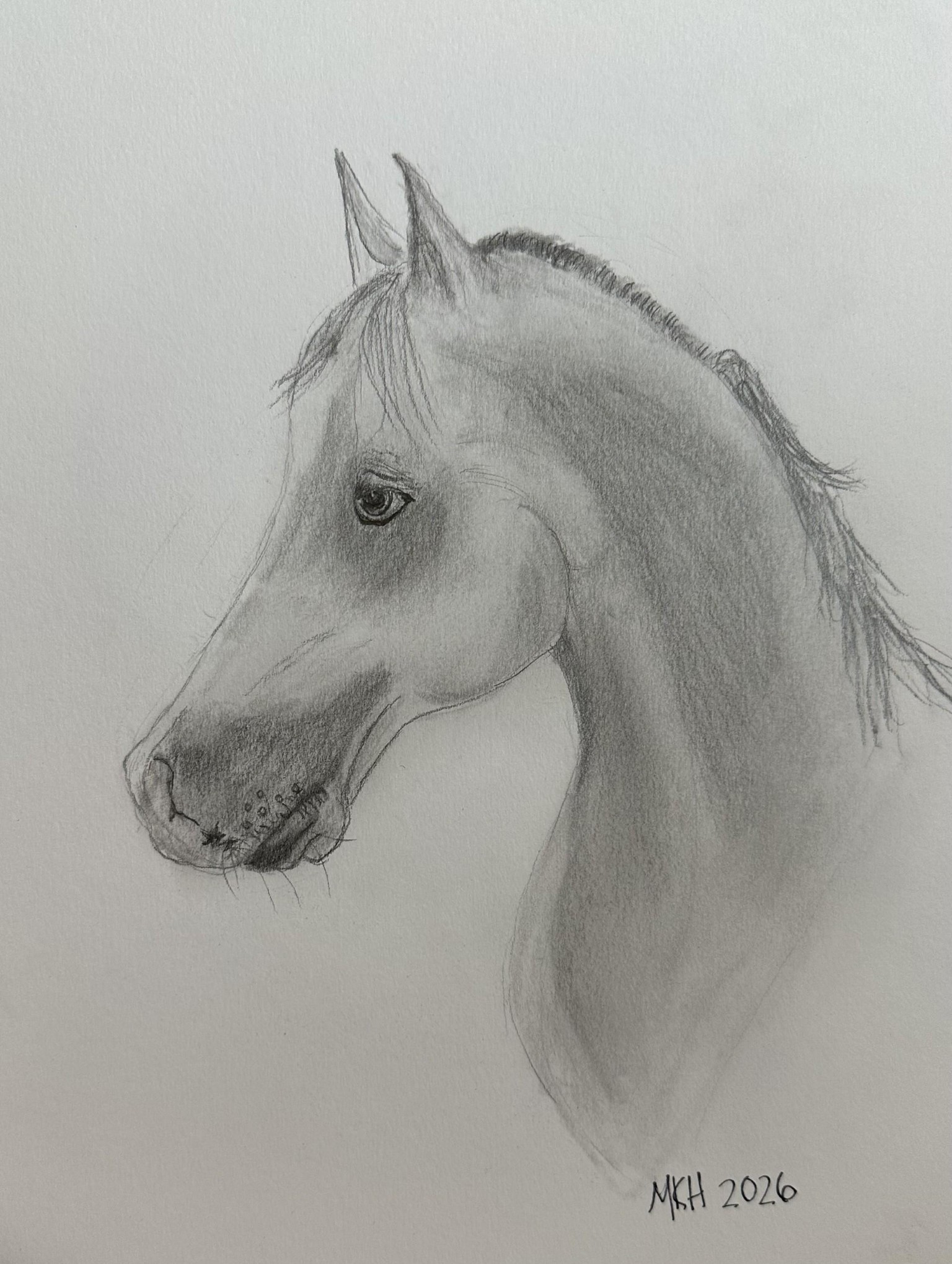 Prep Before Watercolor - image 2 - student project