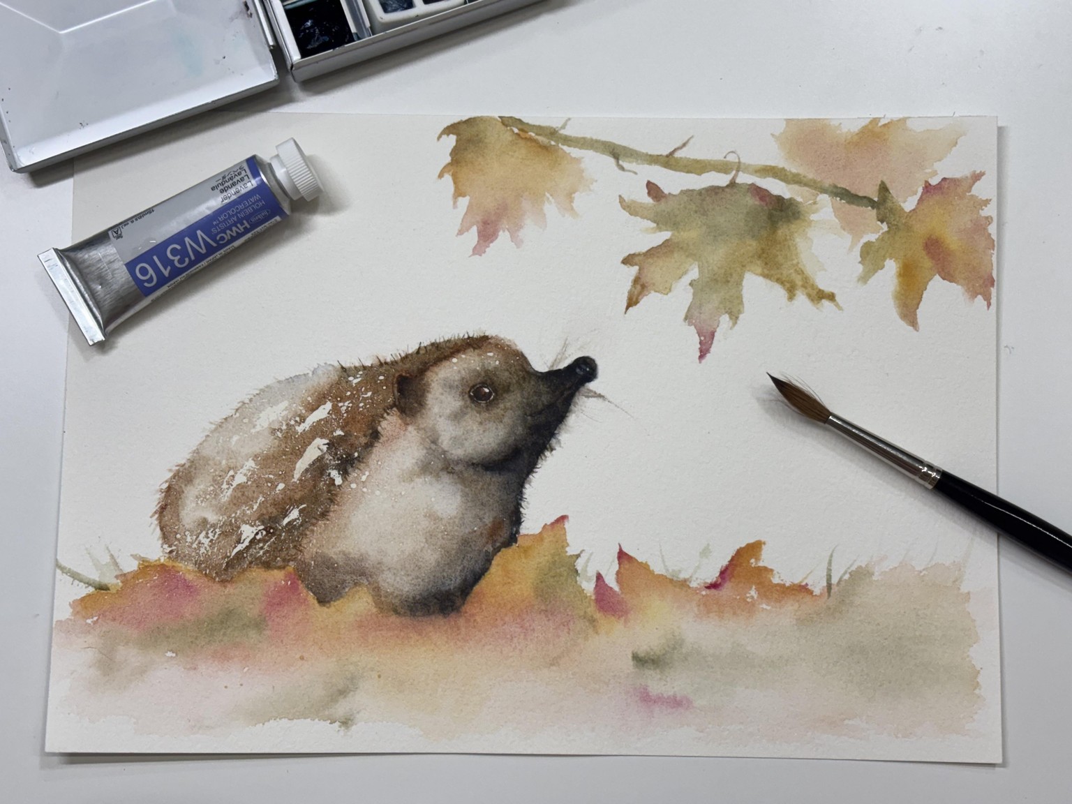 Hedgehog - image 1 - student project