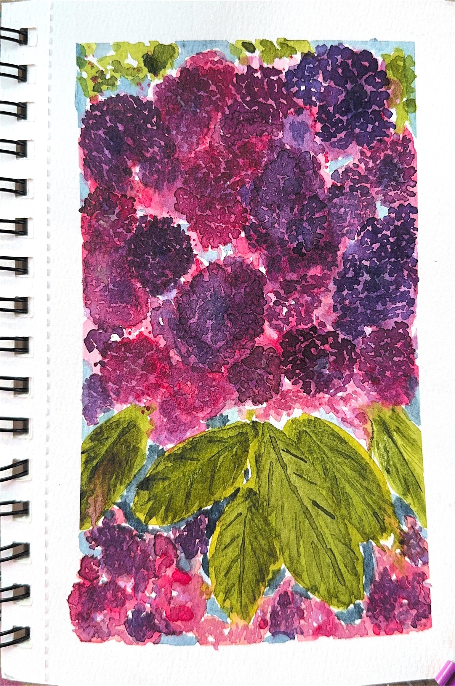 Watercolor hydrangeas - image 1 - student project