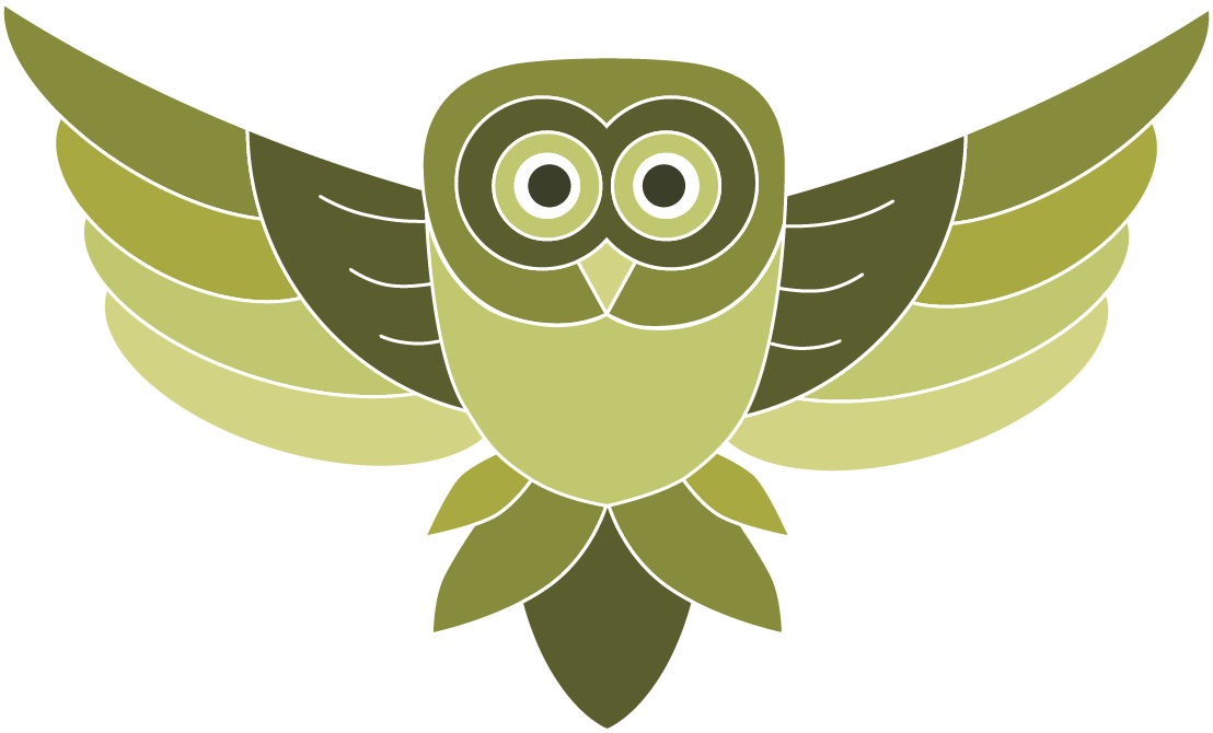 Owl drawing - image 1 - student project
