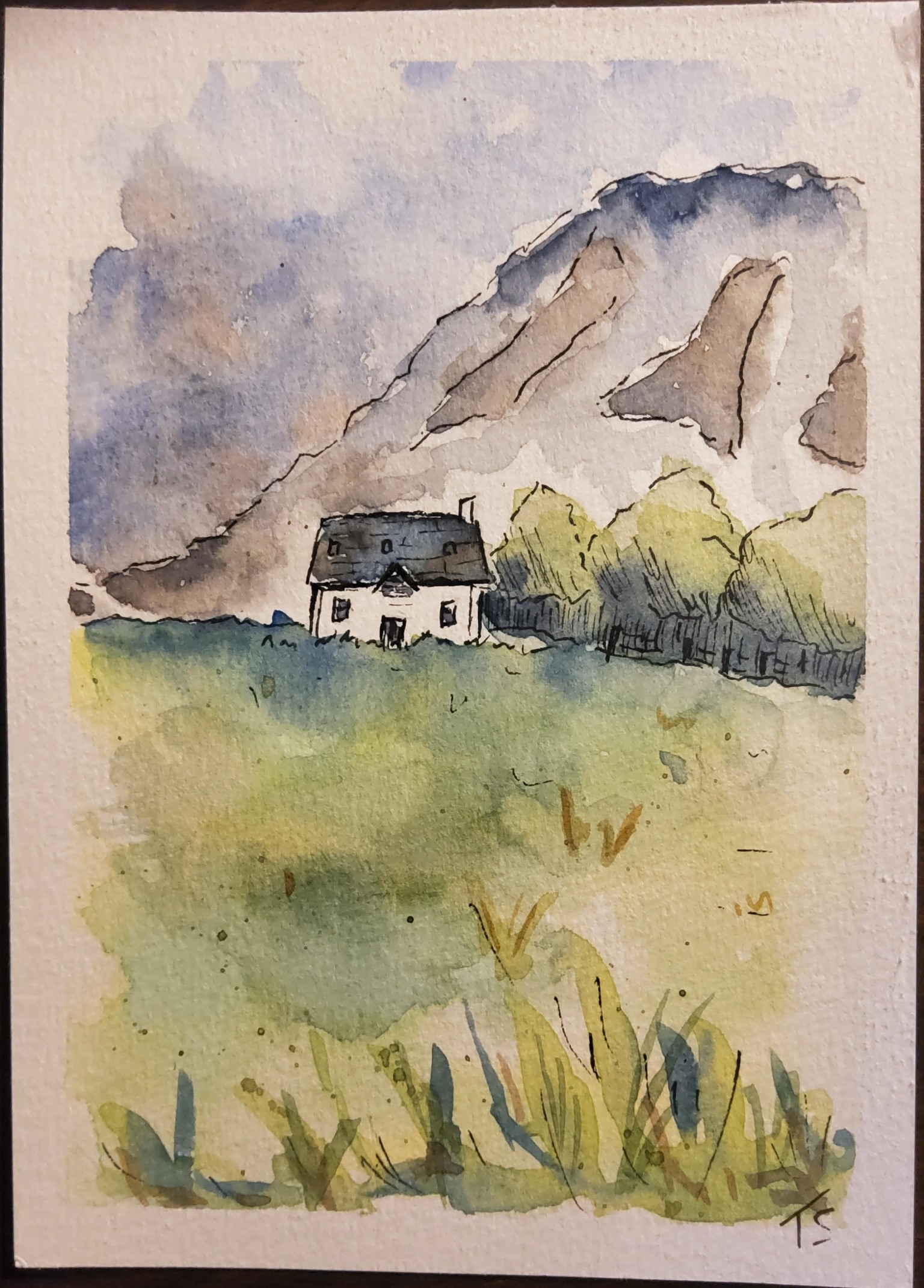 Attempt at looser painting - image 1 - student project