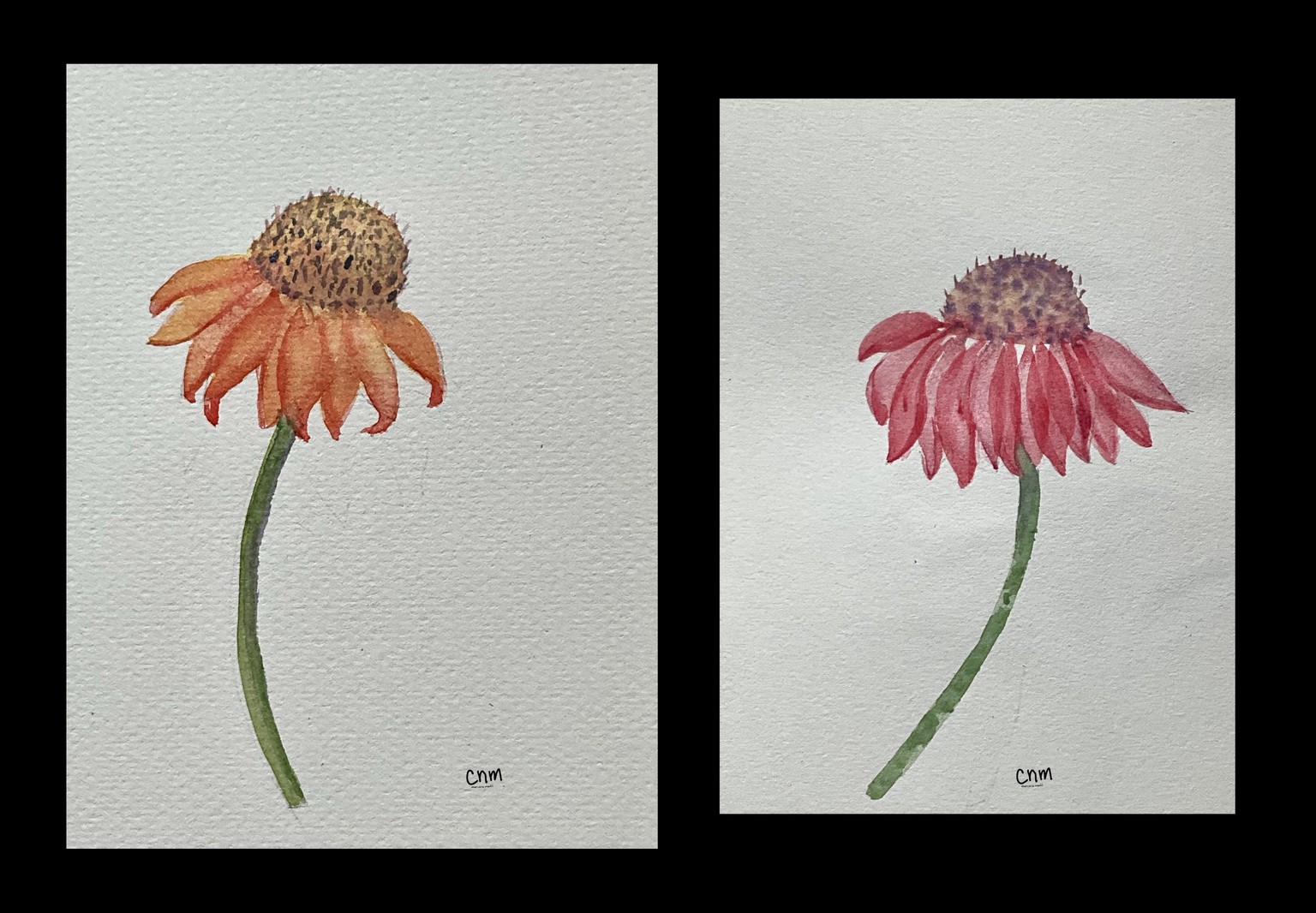 Floral Practice - image 1 - student project