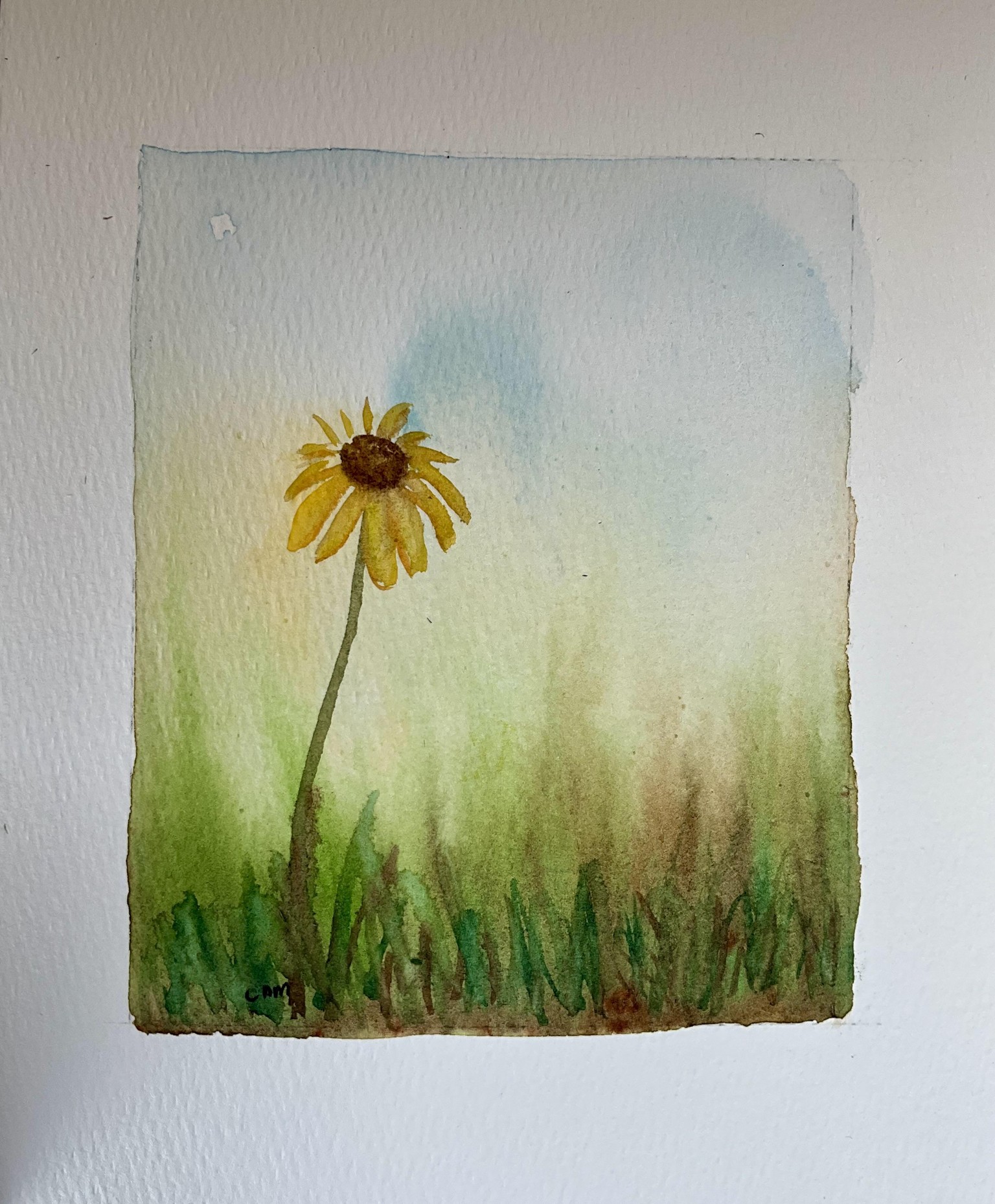 Loose landscape - image 1 - student project