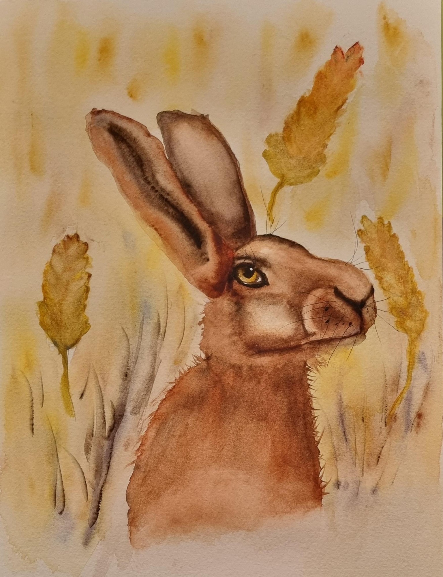 My Hare - image 1 - student project