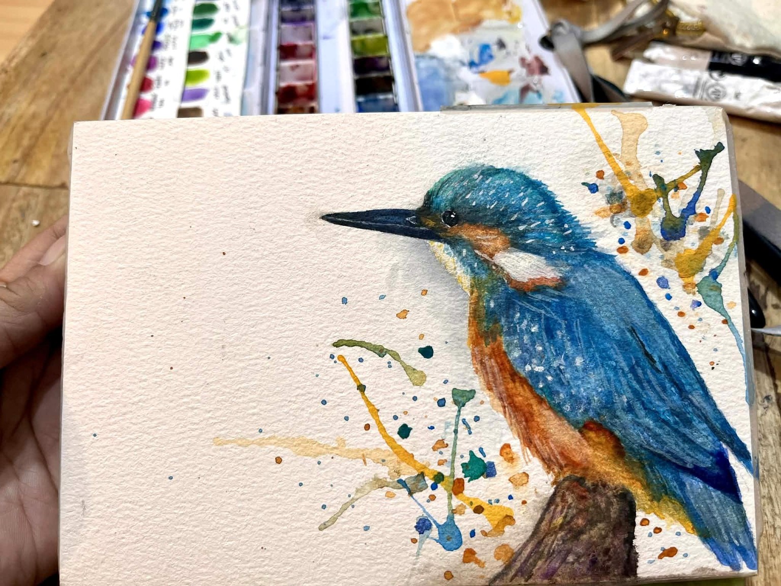 Kingfisher - image 1 - student project
