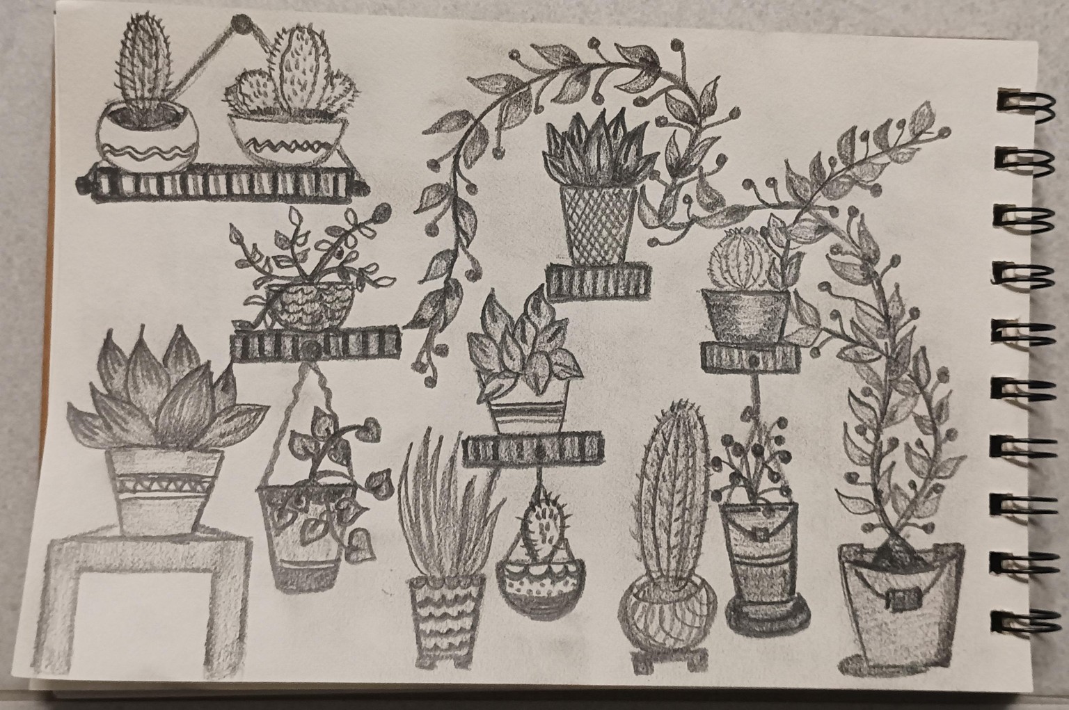 The plant-tita😁❤️ - image 1 - student project