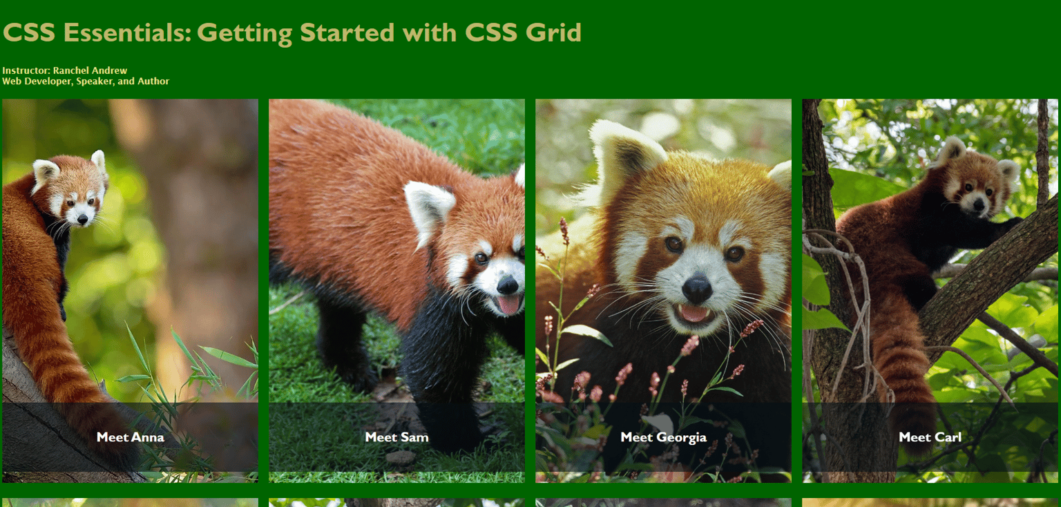 Panda Grid - image 1 - student project