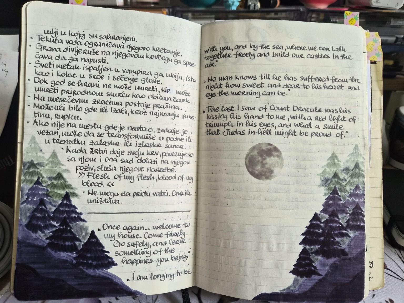 Notes on Dracula - image 3 - student project