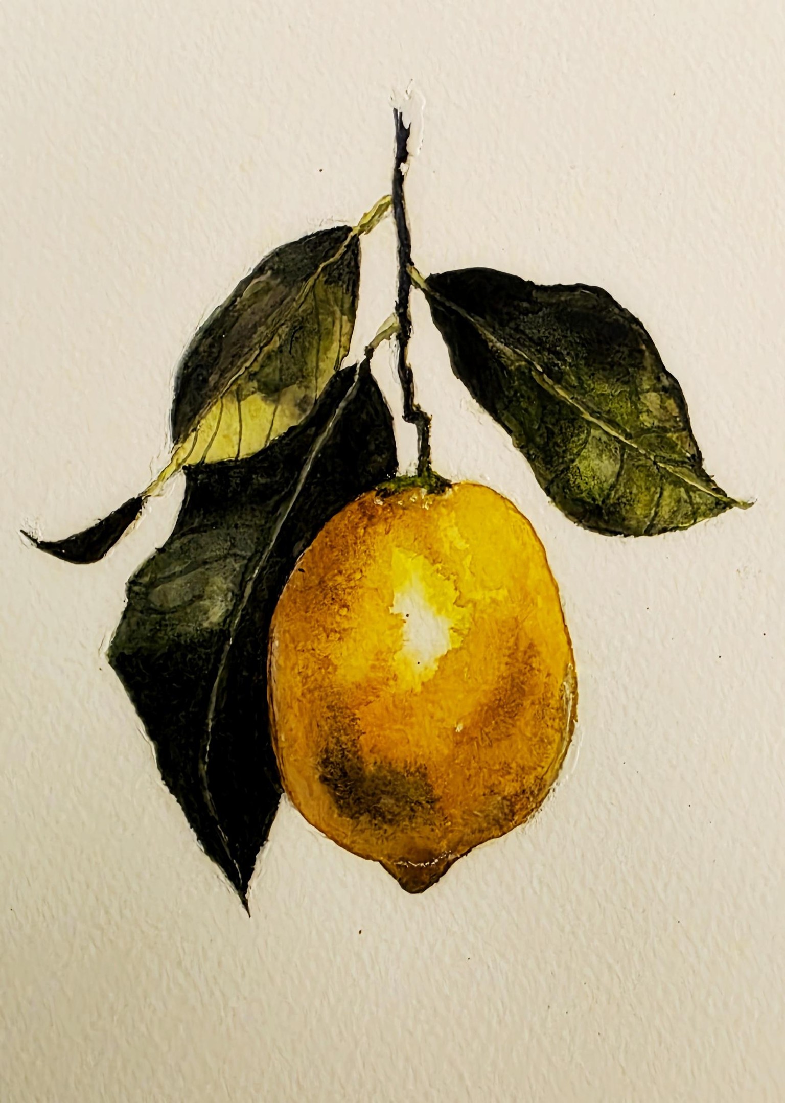 Lemon - image 1 - student project