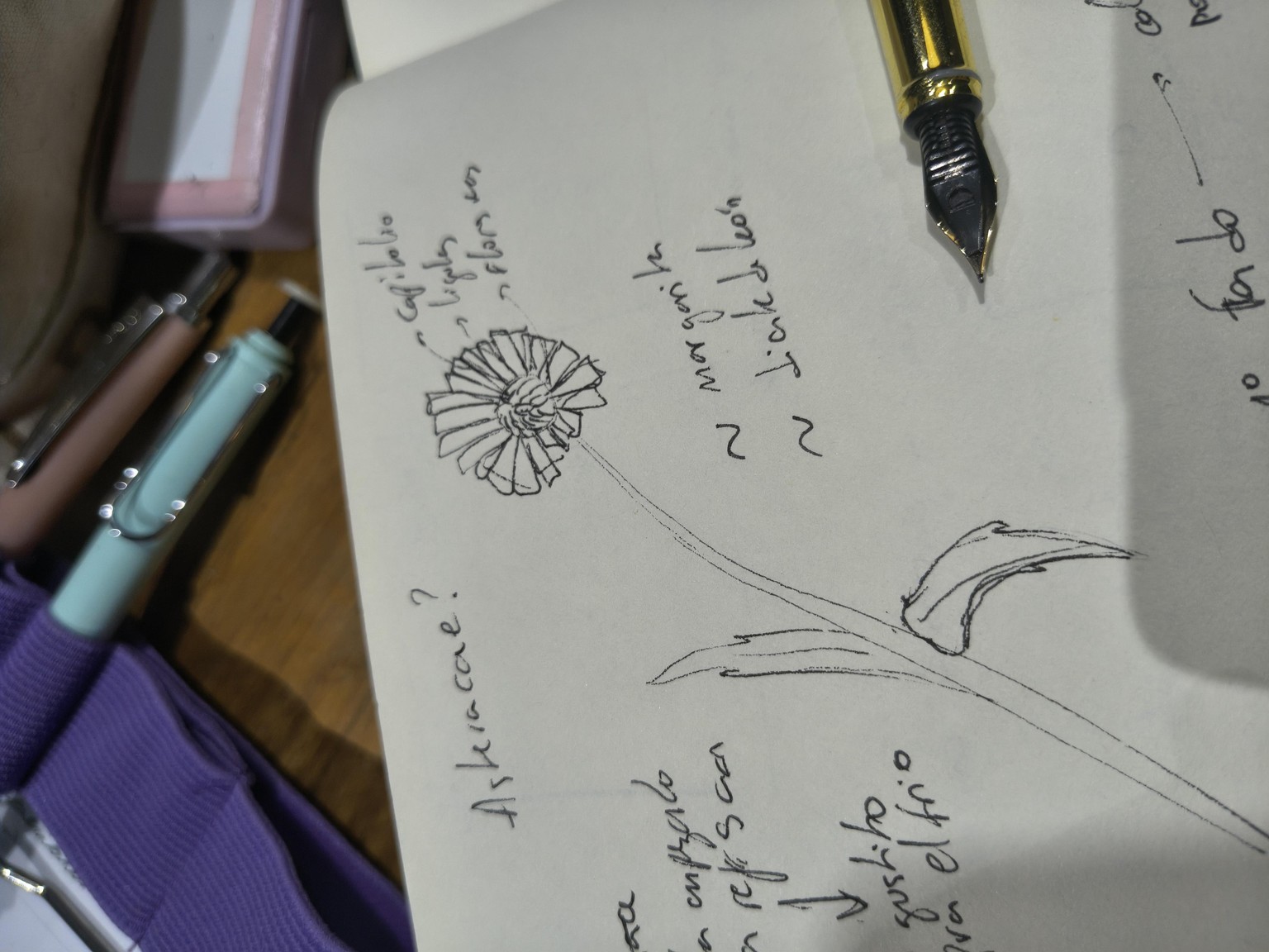 Notes on nature journaling - image 2 - student project