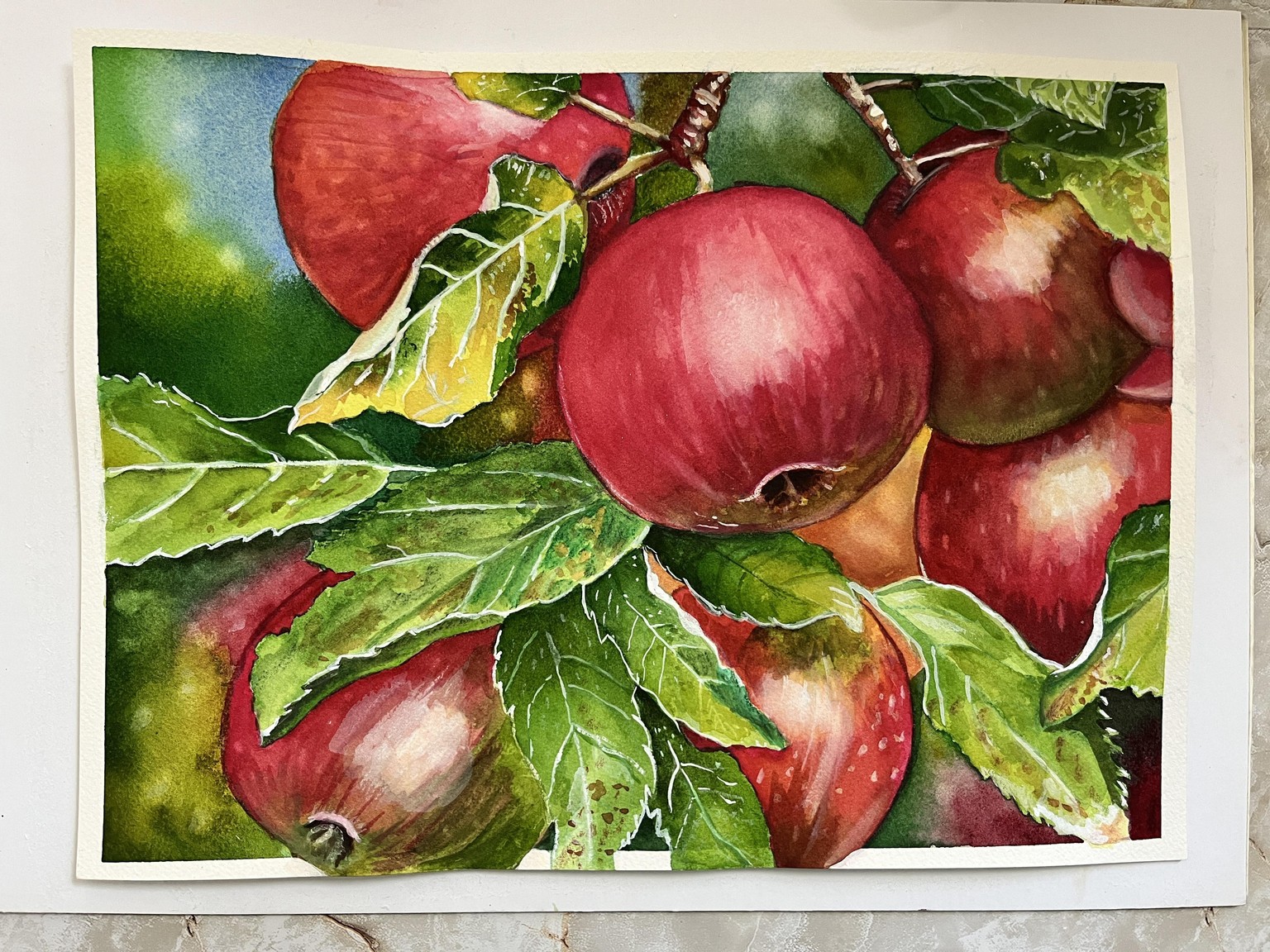 Delightful Apples - image 1 - student project