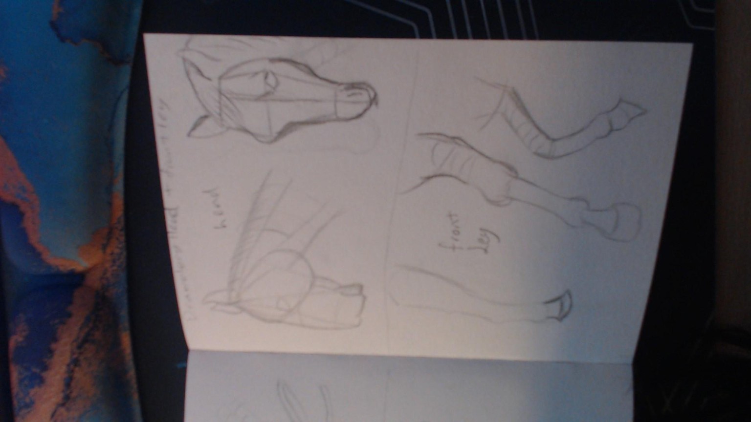 My Horse Drawing - image 1 - student project