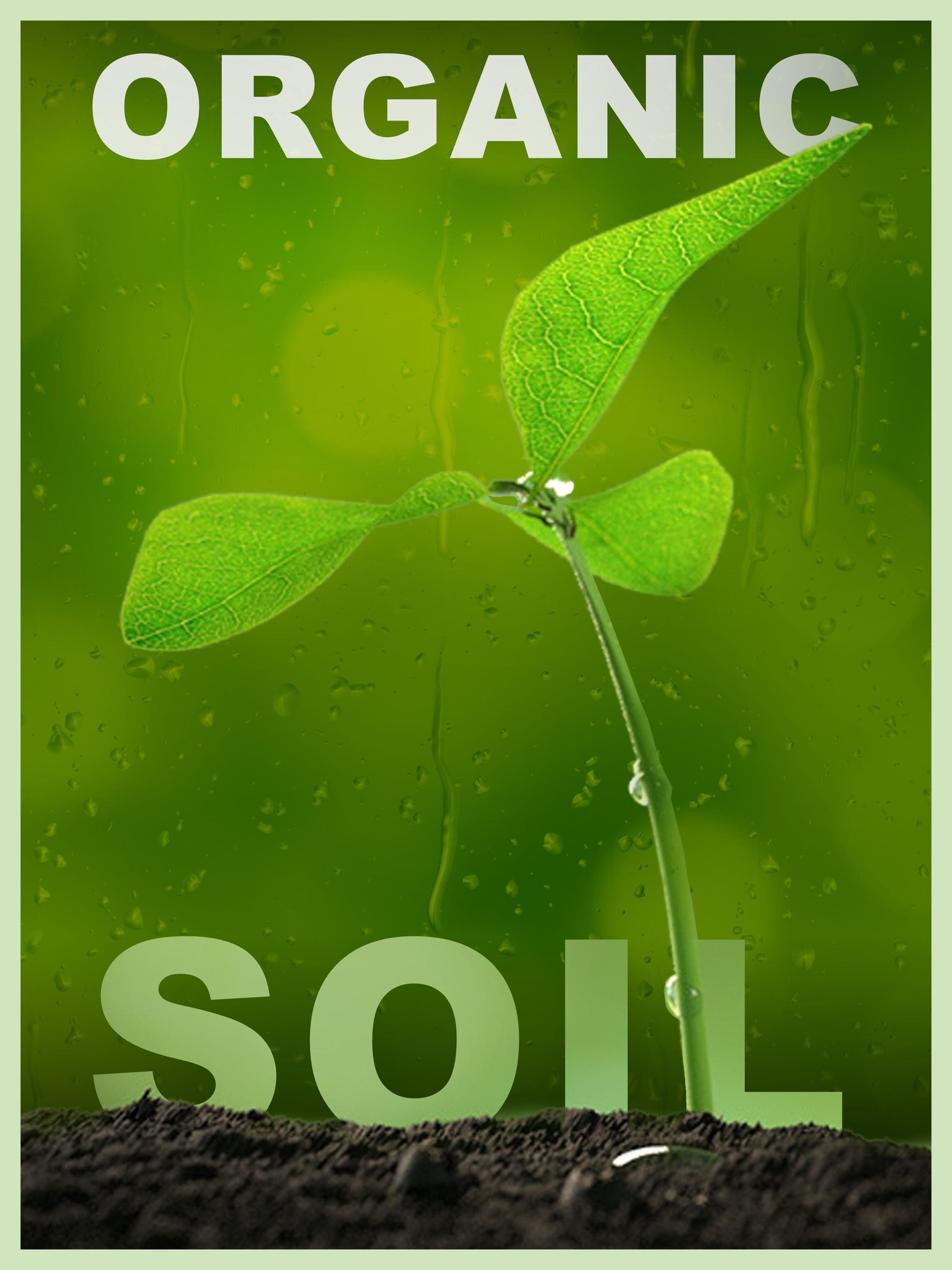 Amazing Course(: - image 5 - student project