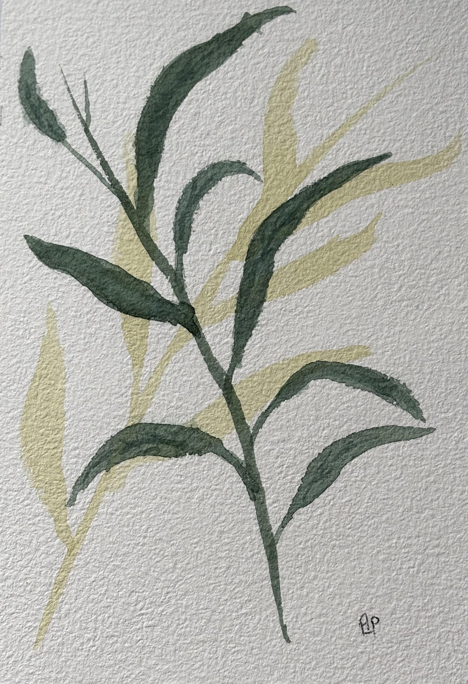 Leaf flow and stem crossing - image 1 - student project