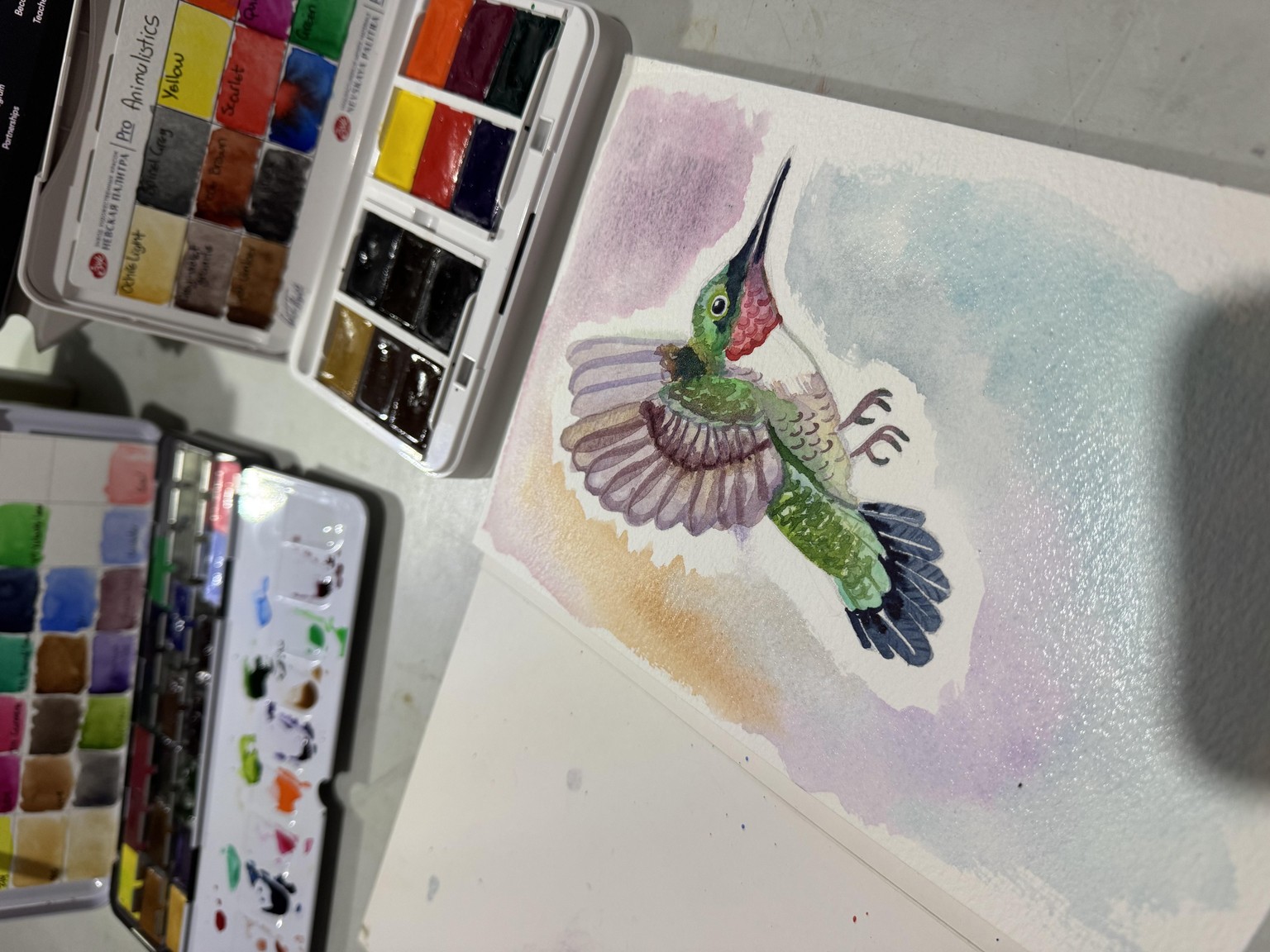 Hummingbird - image 1 - student project